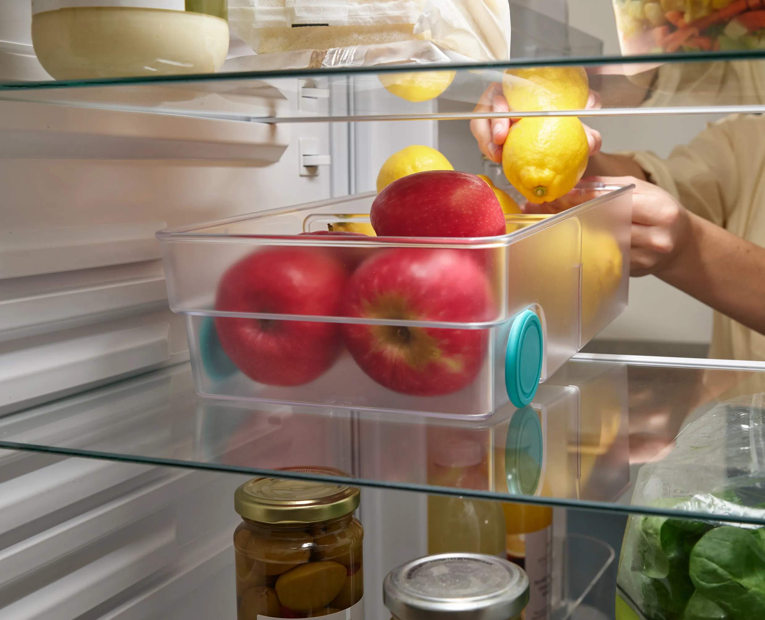 Joseph Joseph Småopbevaring FridgeStore Opbevaringskasse i 17,4 cm, 5