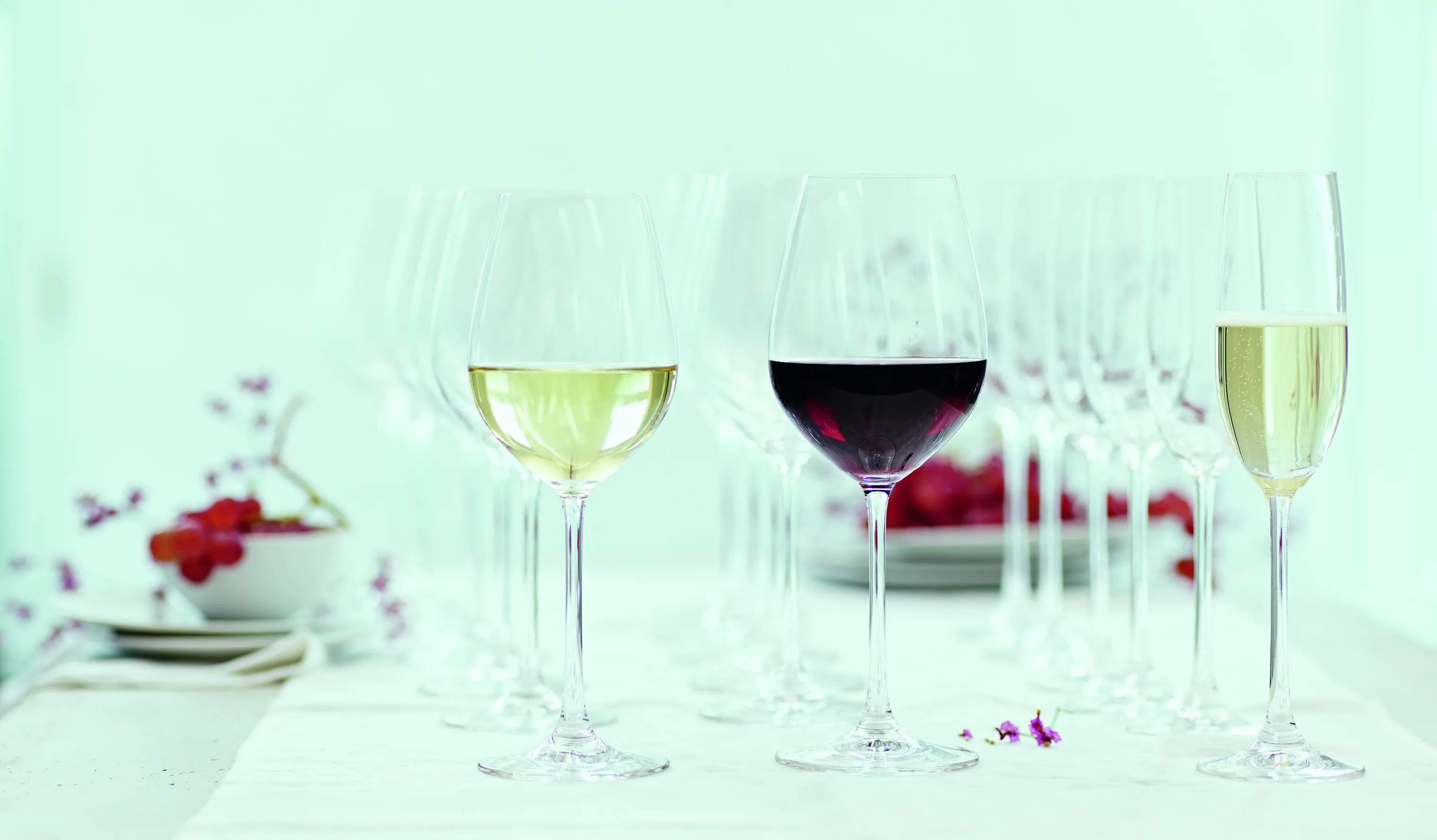 Spiegelau Hvidvinsglas Salute Hvidvinsglas - 4 stk. i Klar, 46.5 cl, 2