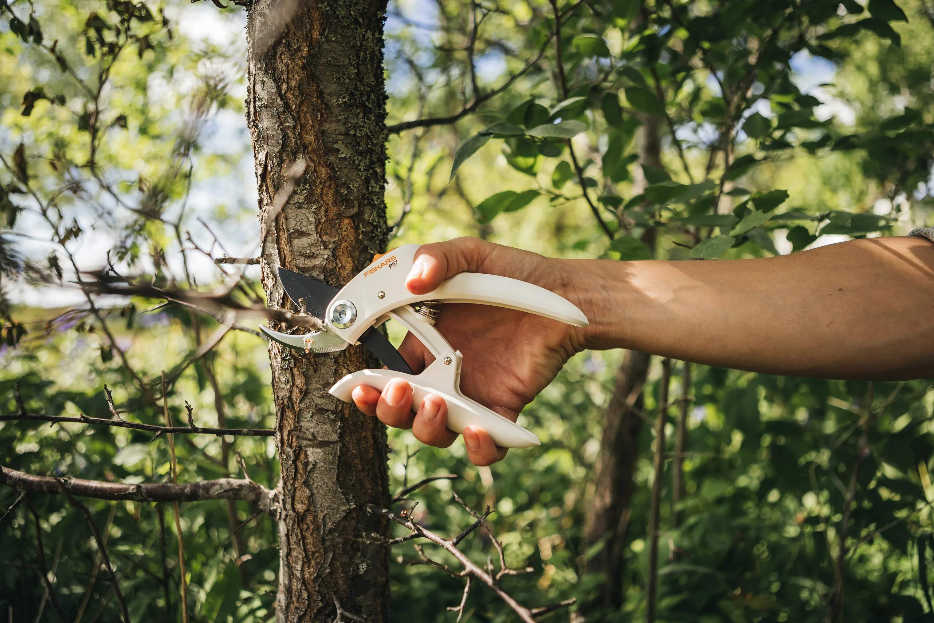 Fiskars Garden Haveredskaber White Beskæresaks i Hvid, 2