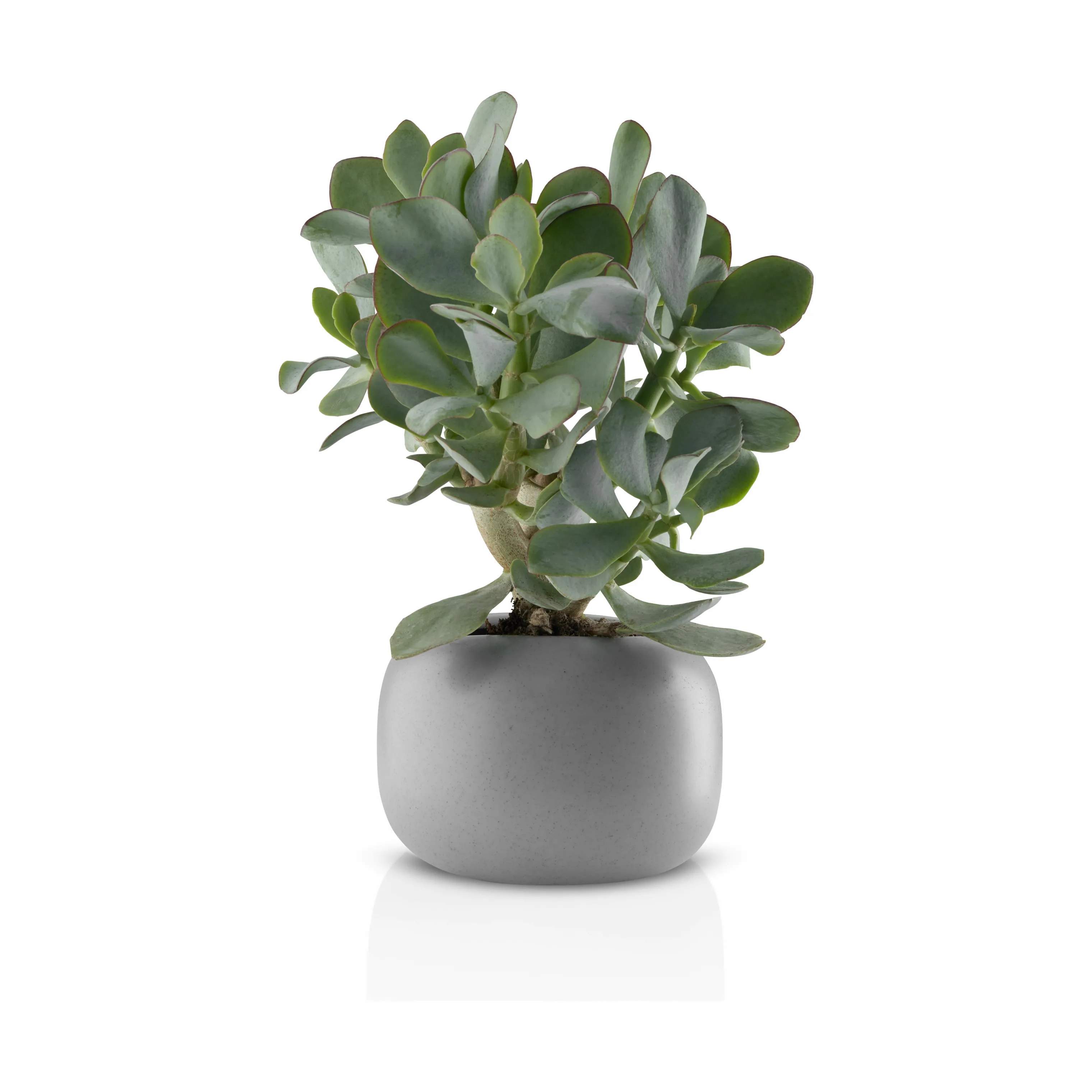 Eva Solo Urtepotteskjulere Stone Urtepotte i Stone, 12 cm, 3