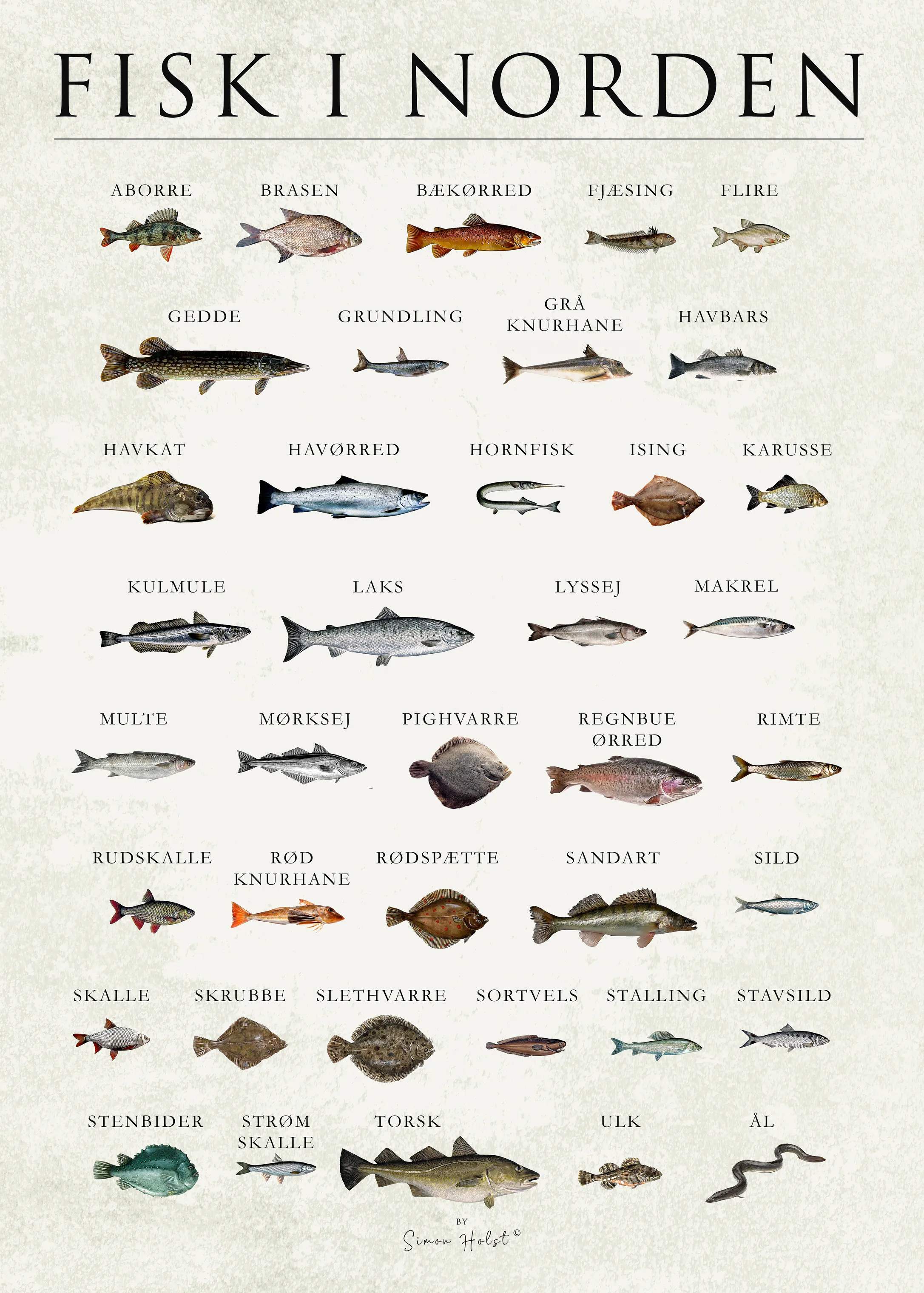 plakat - Fisk i Norden, multifarvet, large