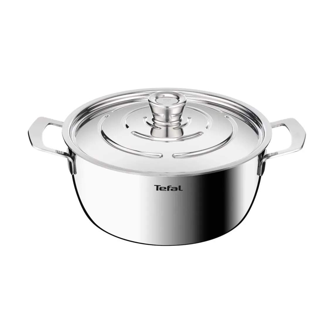 Tefal Gryder Emotion Plus Stegegryde i Sølvfarvet, 1