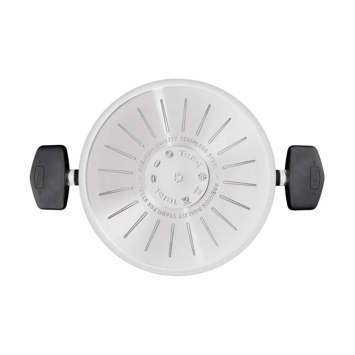 Tefal Gryder Emotion Plus SS Uncoated Gryde i 6.6 L, 4