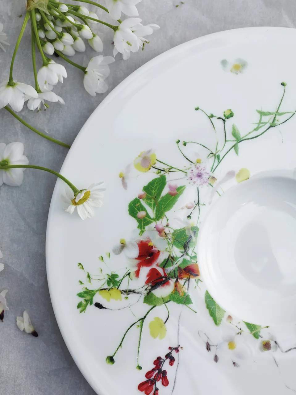 Rosenthal Underkopper Brillance Fleurs Sauvages Underkop i Hvid / Multifarvet, 2