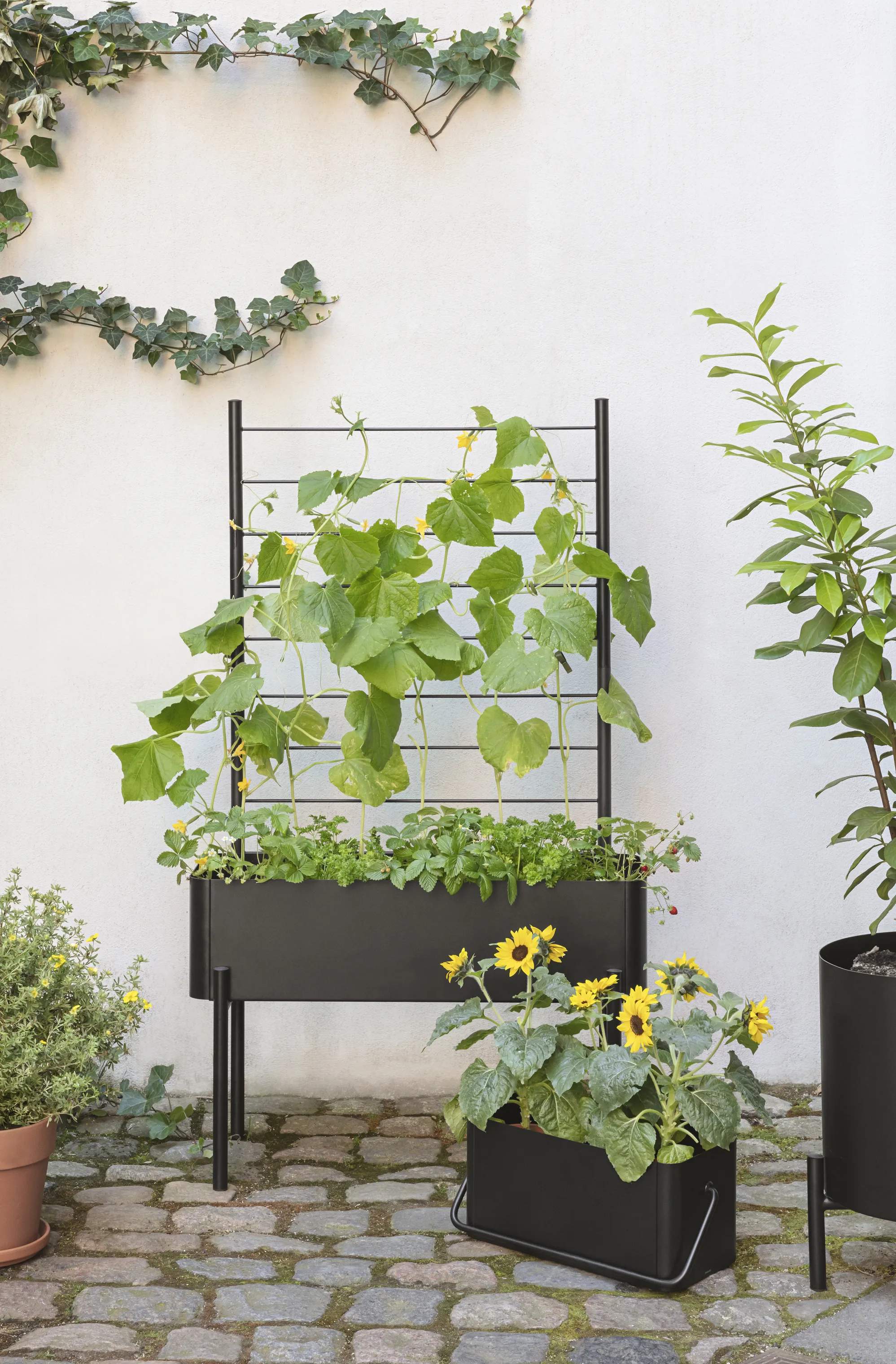 Eva Solo Øvrigt haveudstyr Simply Grow Espalier til plantekasse i H102 x B70 cm, 7