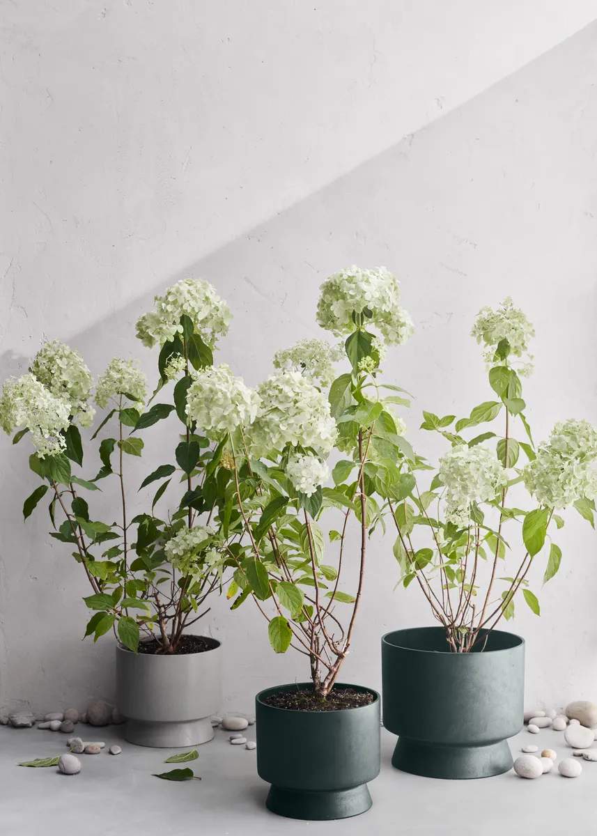 Rosendahl Urtepotteskjulere RO Urtepotteskjuler i grøn, 24 cm, 3