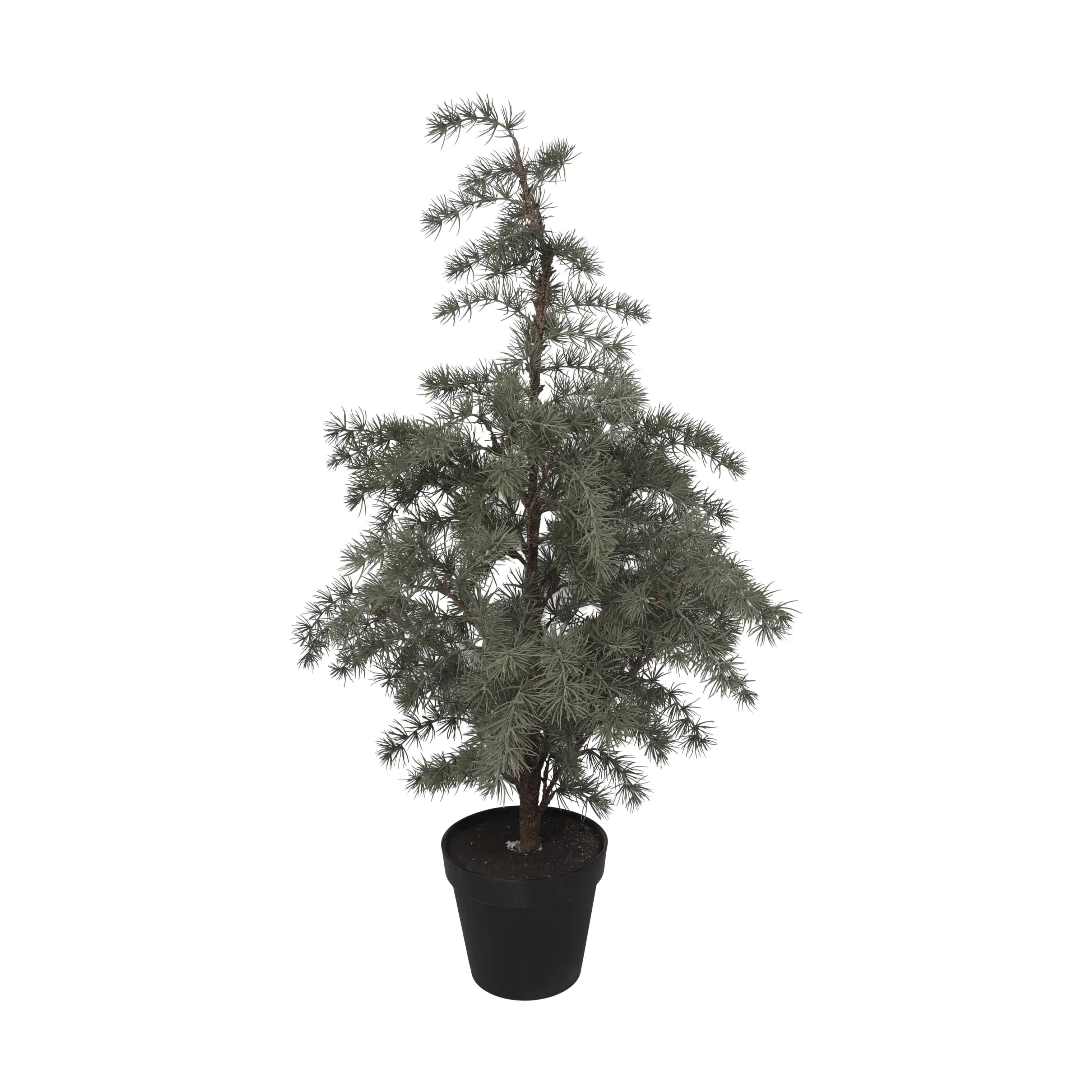 Juletræ, støvet grøn, large