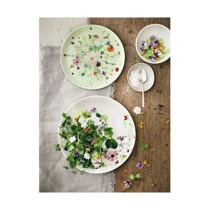 Rosenthal Kagetallerkener Brillance Grand Air Grand Air Rim Kagetallerken i Multifarvet, 19 cm, 2