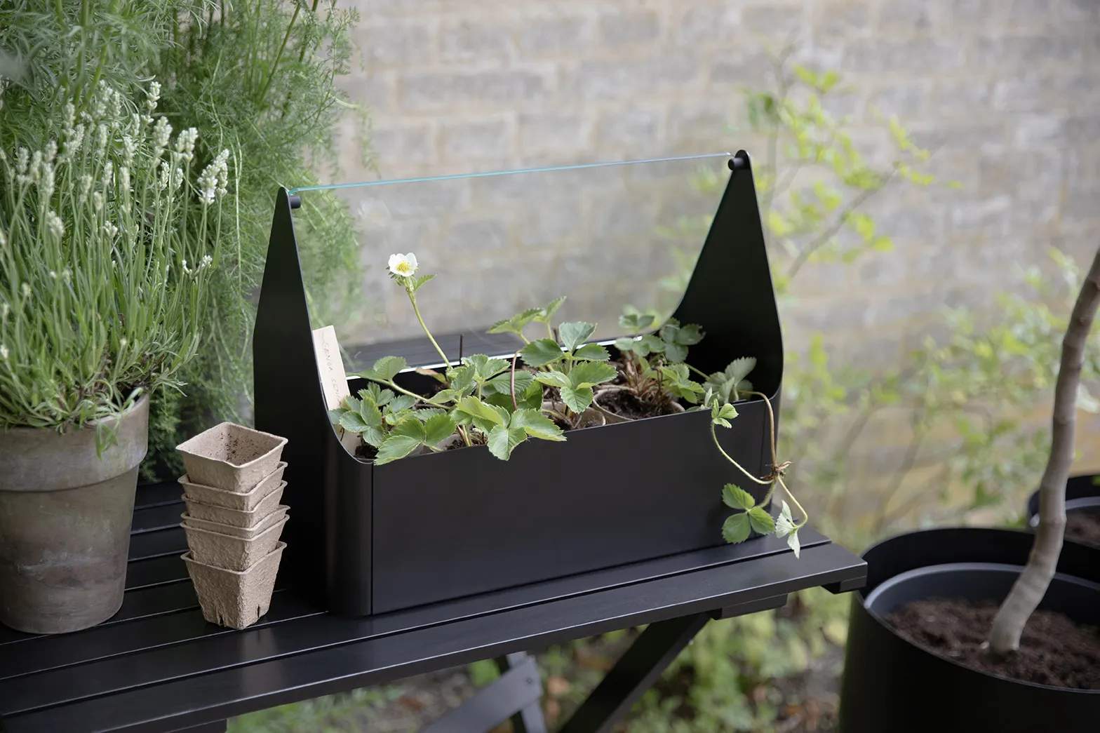 Eva Solo Altankasser Simply Grow Mini Drivhus i 32 cm, 3