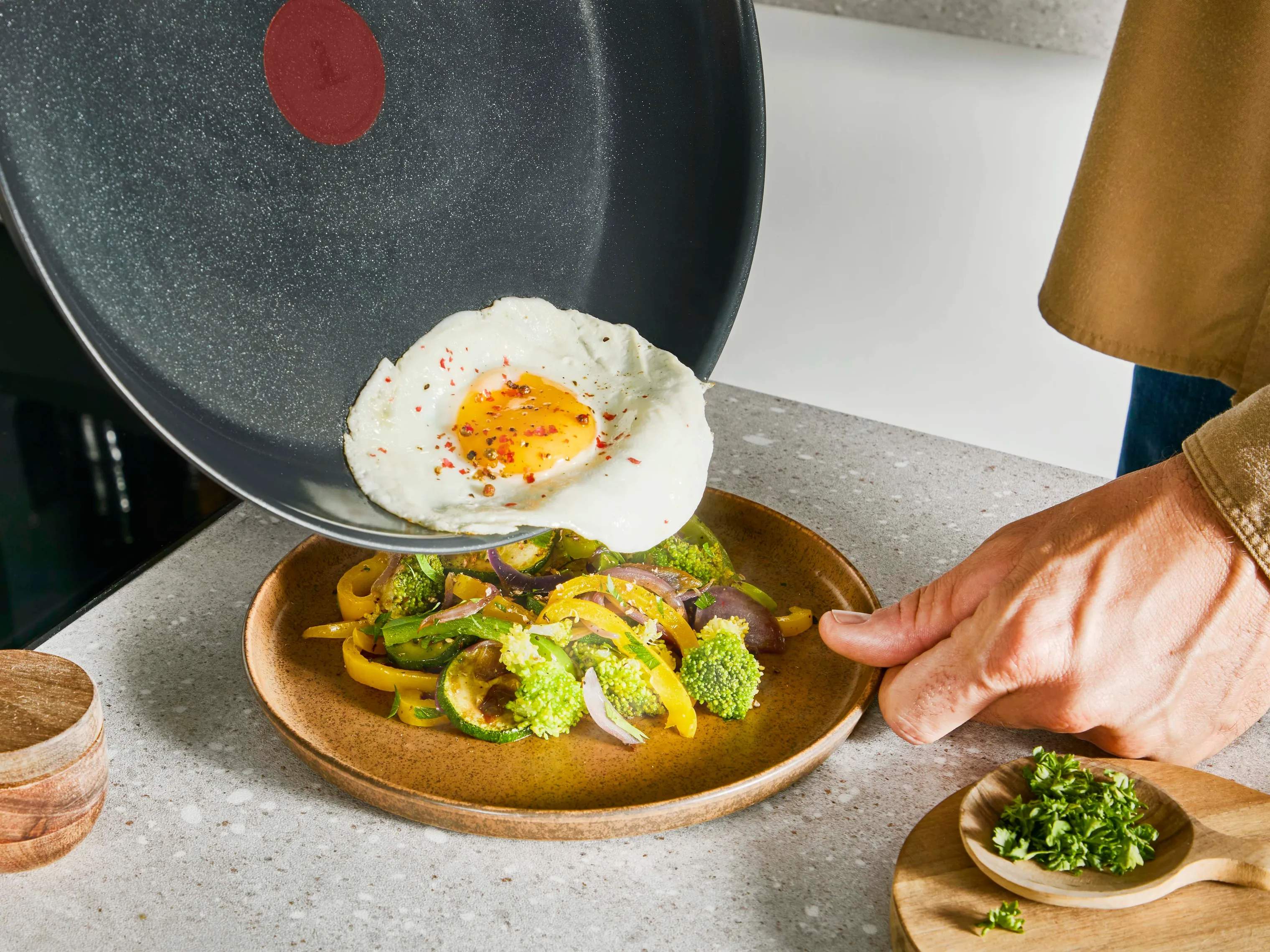Tefal Stegepander Emotion Plus Flavors Stegepande i 24 cm, 3
