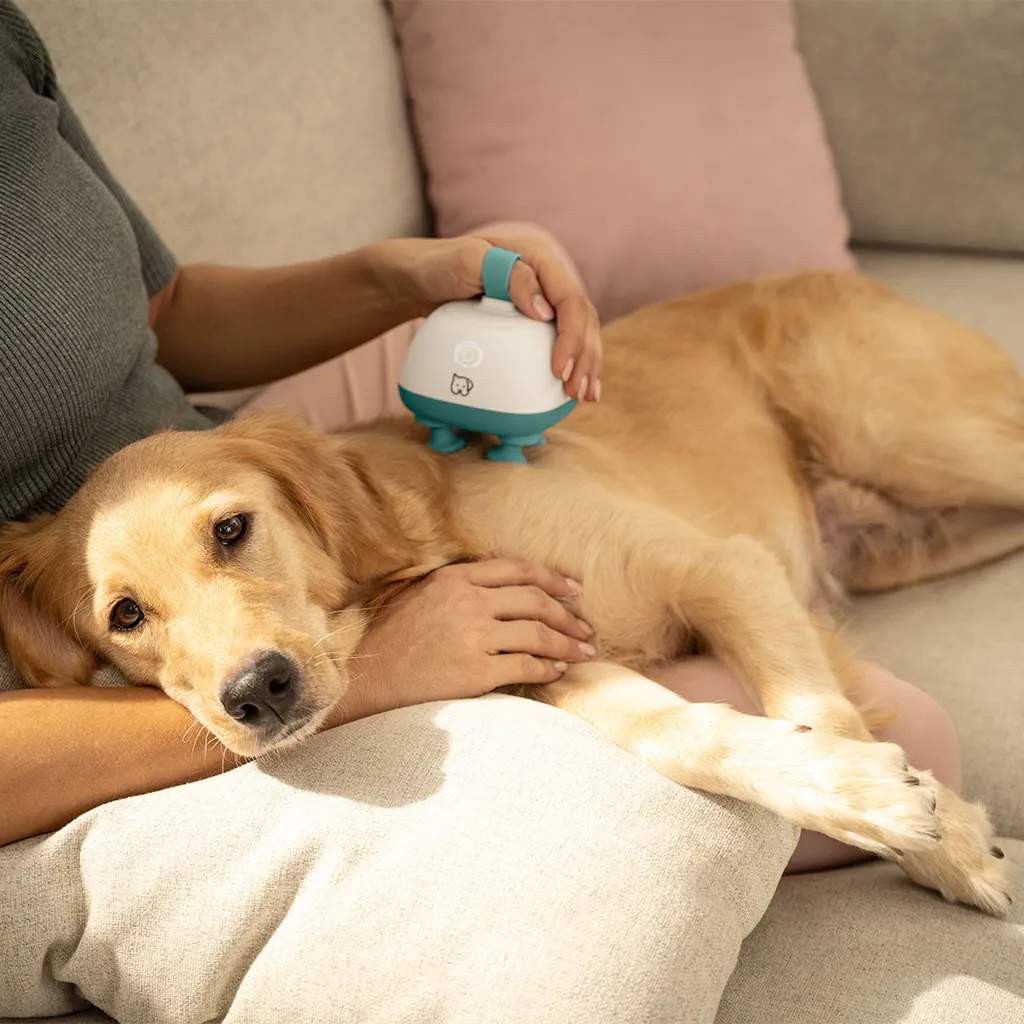 Beurer Massageapparater PetCare PP410 Buddy Massageapperat til Kæledyr i Hvid, ocean, 5