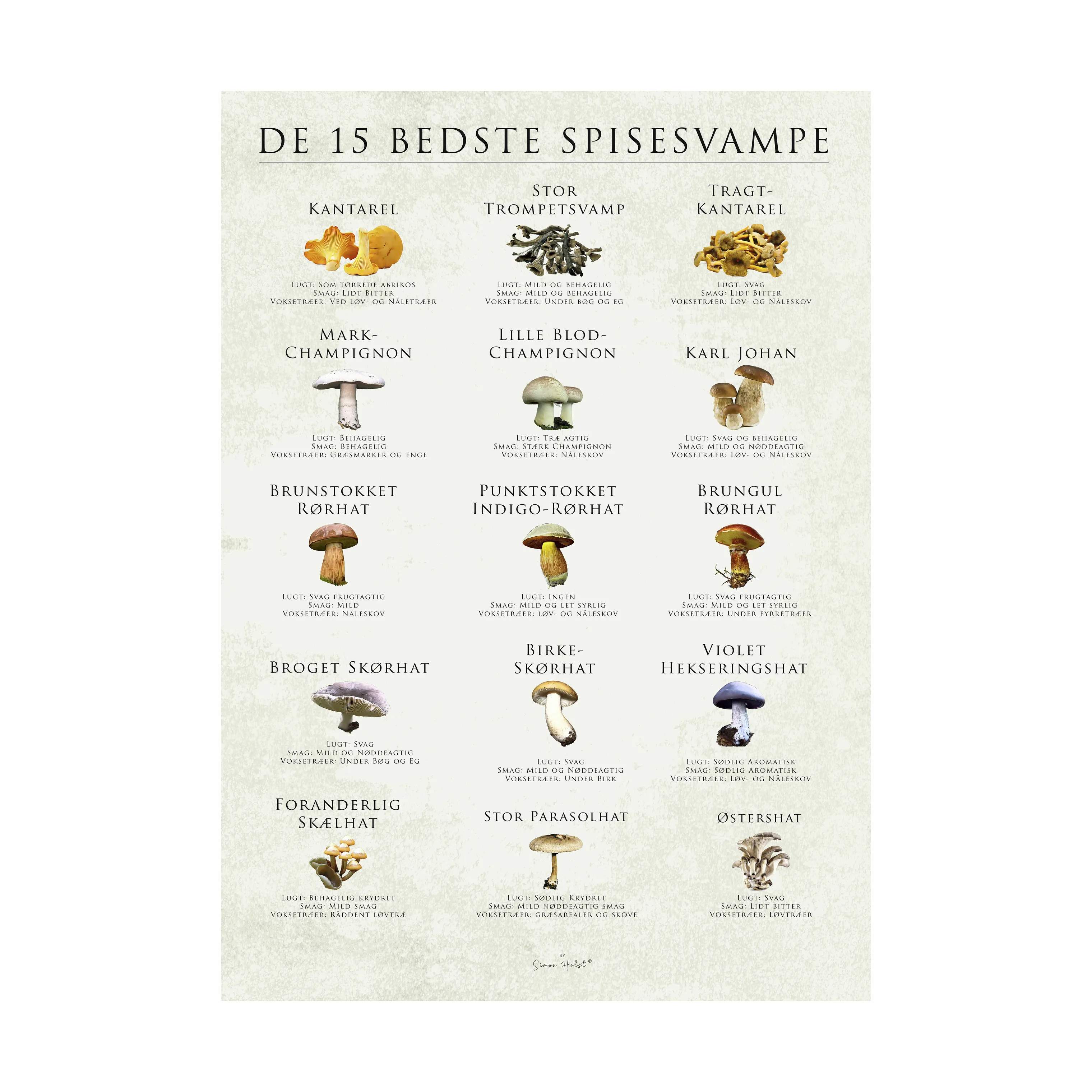 plakat - De 15 bedste spisesvampe, multifarvet, large