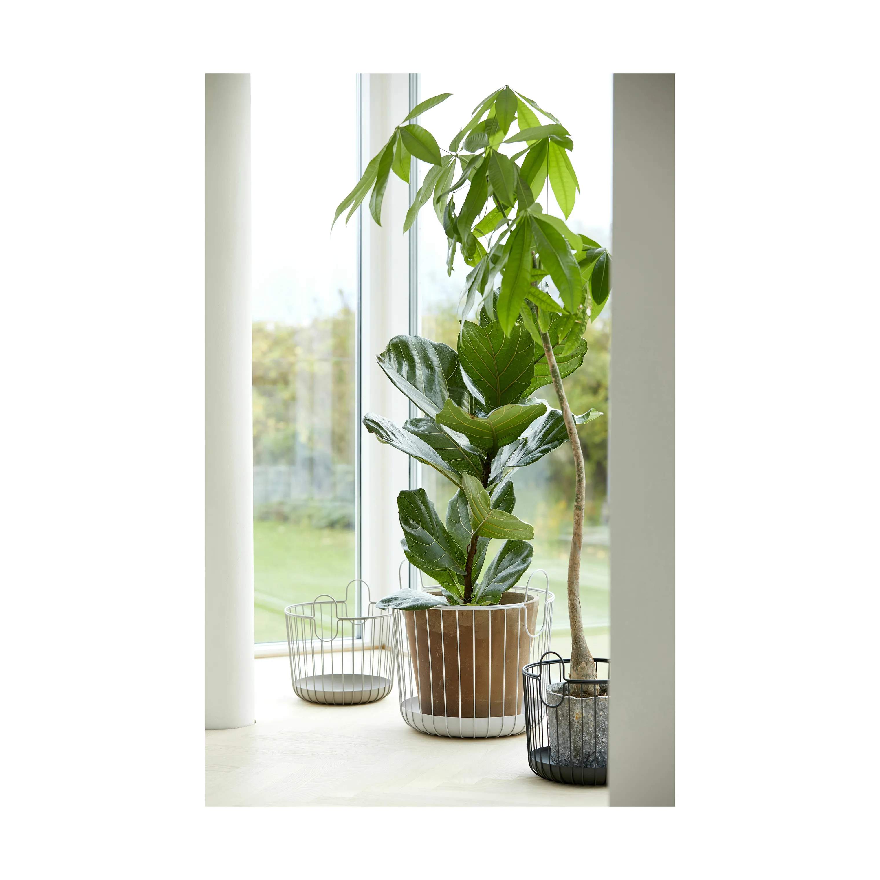 Zone Kurve Inu Kurv i Taupe, 30 cm, 3