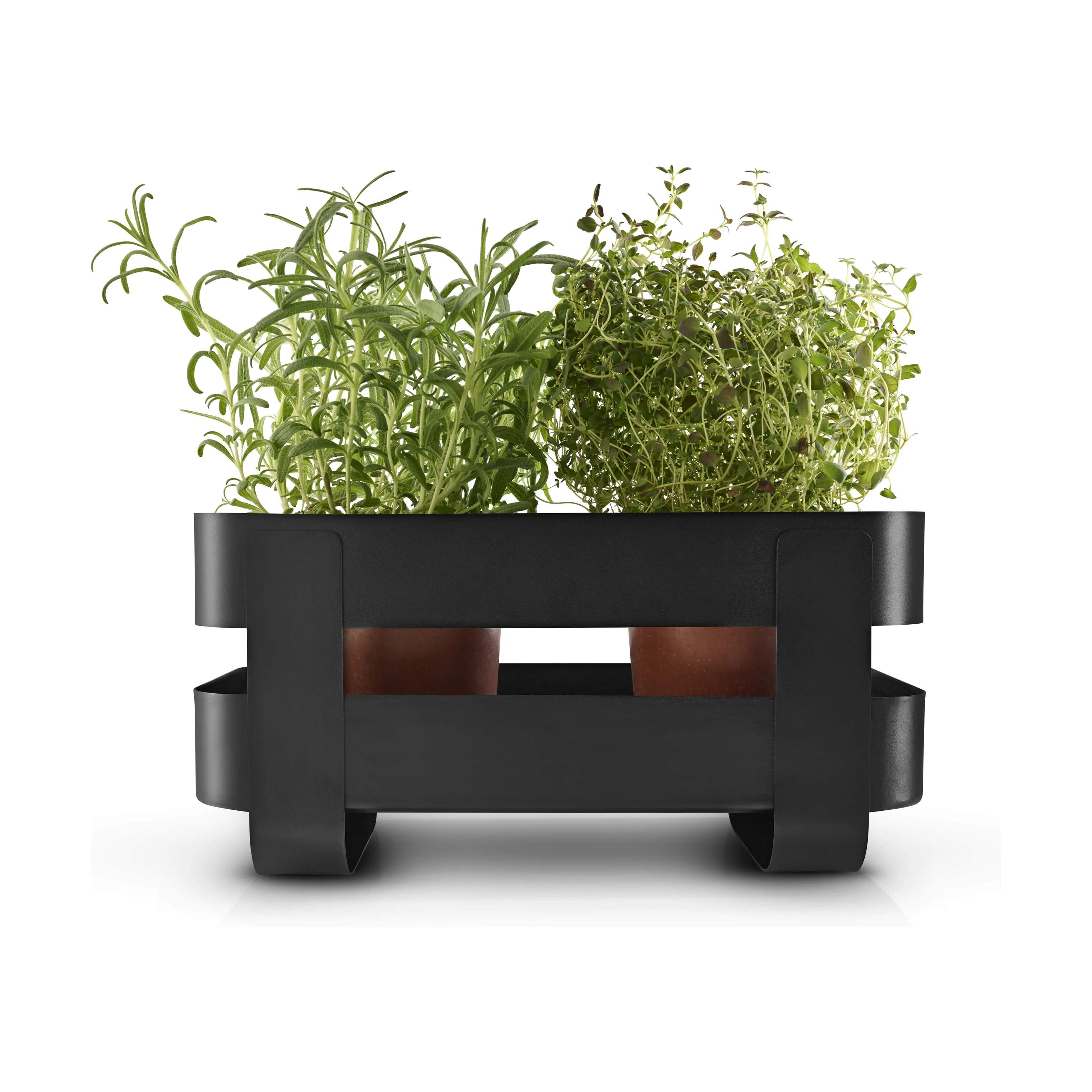 Eva Solo Urtepotteskjulere Selvvandende Herb Organiser i Black, 3