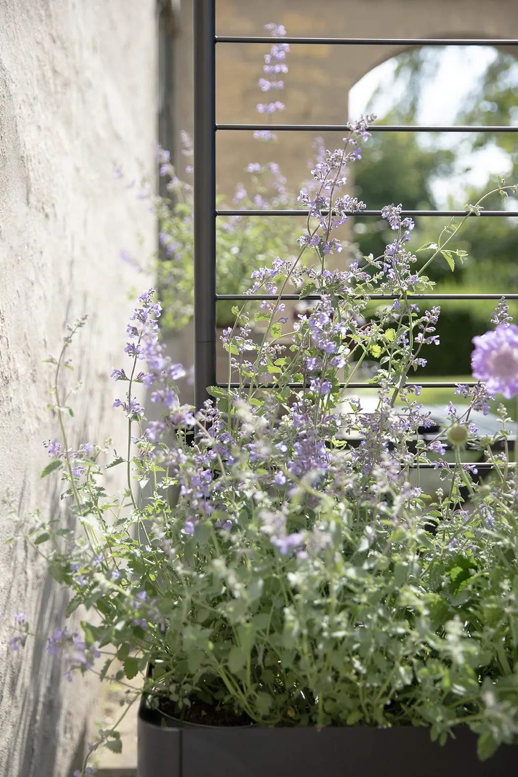 Eva Solo Øvrigt haveudstyr Simply Grow Espalier til plantekasse i H102 x B70 cm, 3