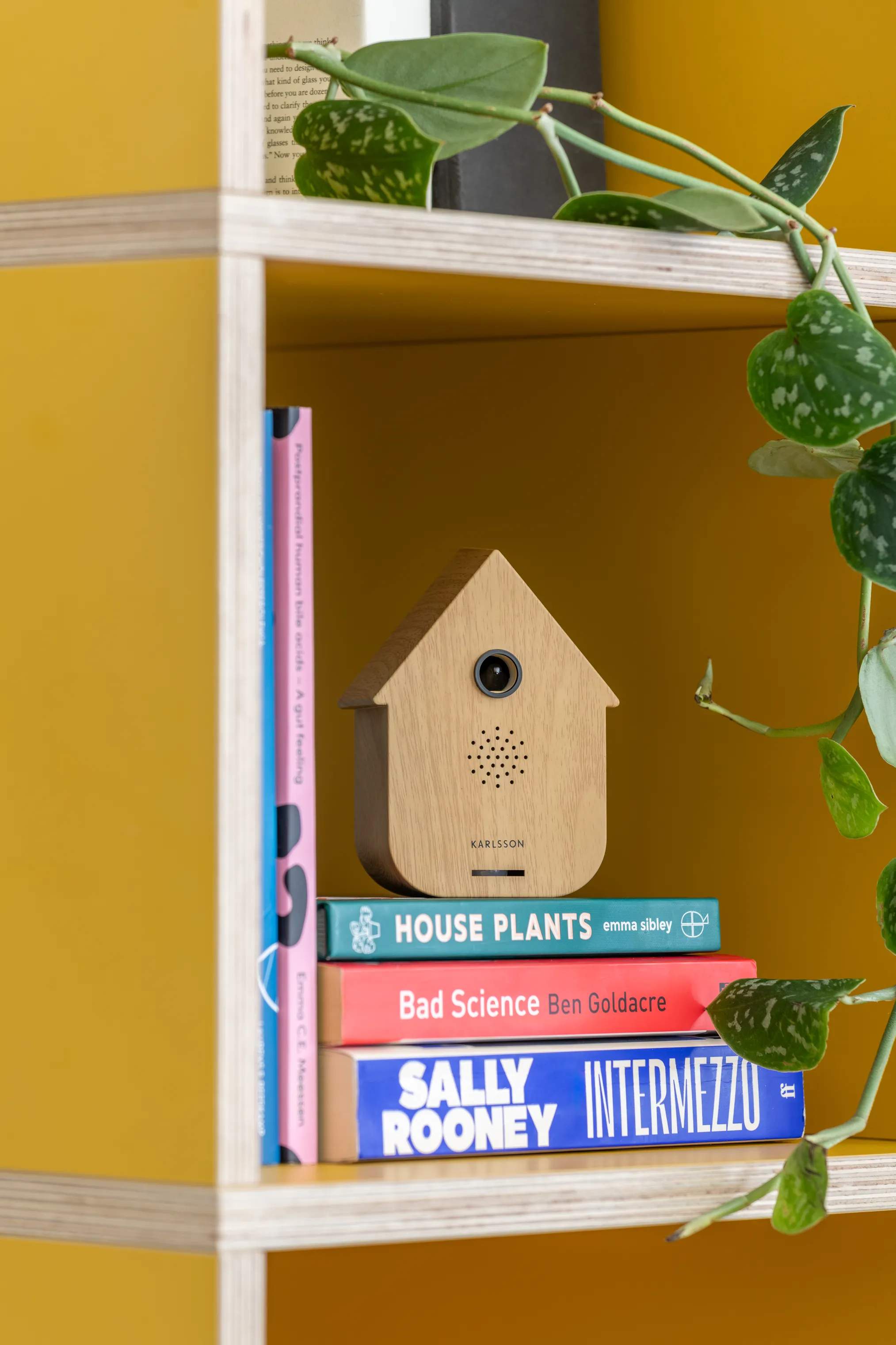 Karlsson Højtalere Modern Cuckoo Soundbox i Wood, 2