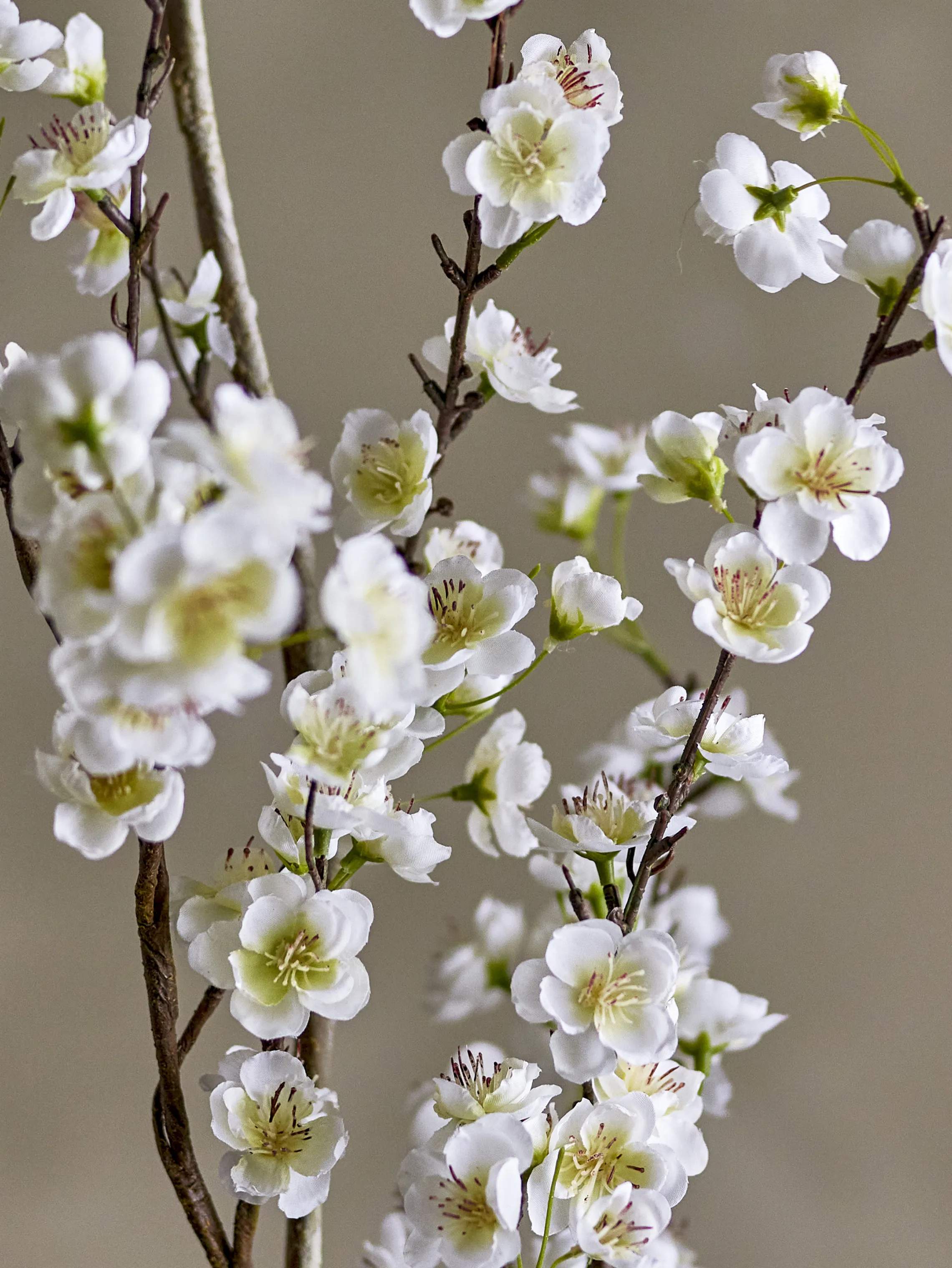 Bloomingville Kunstige blomster Kunstig blomst - Apple gren i Hvid, 4