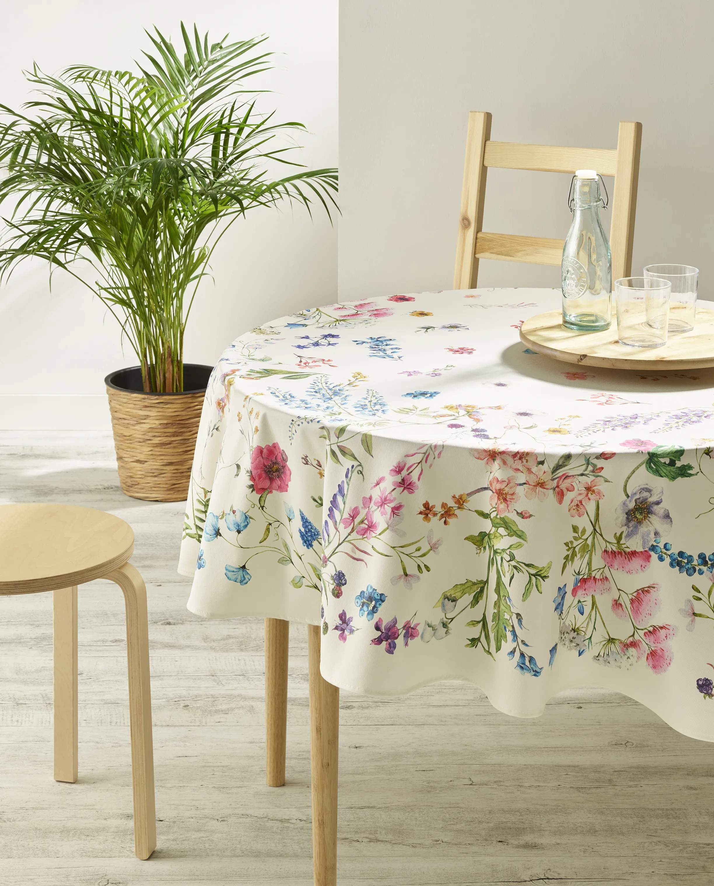 Atenas Duge Fortuna Dug i 150 cm, 2
