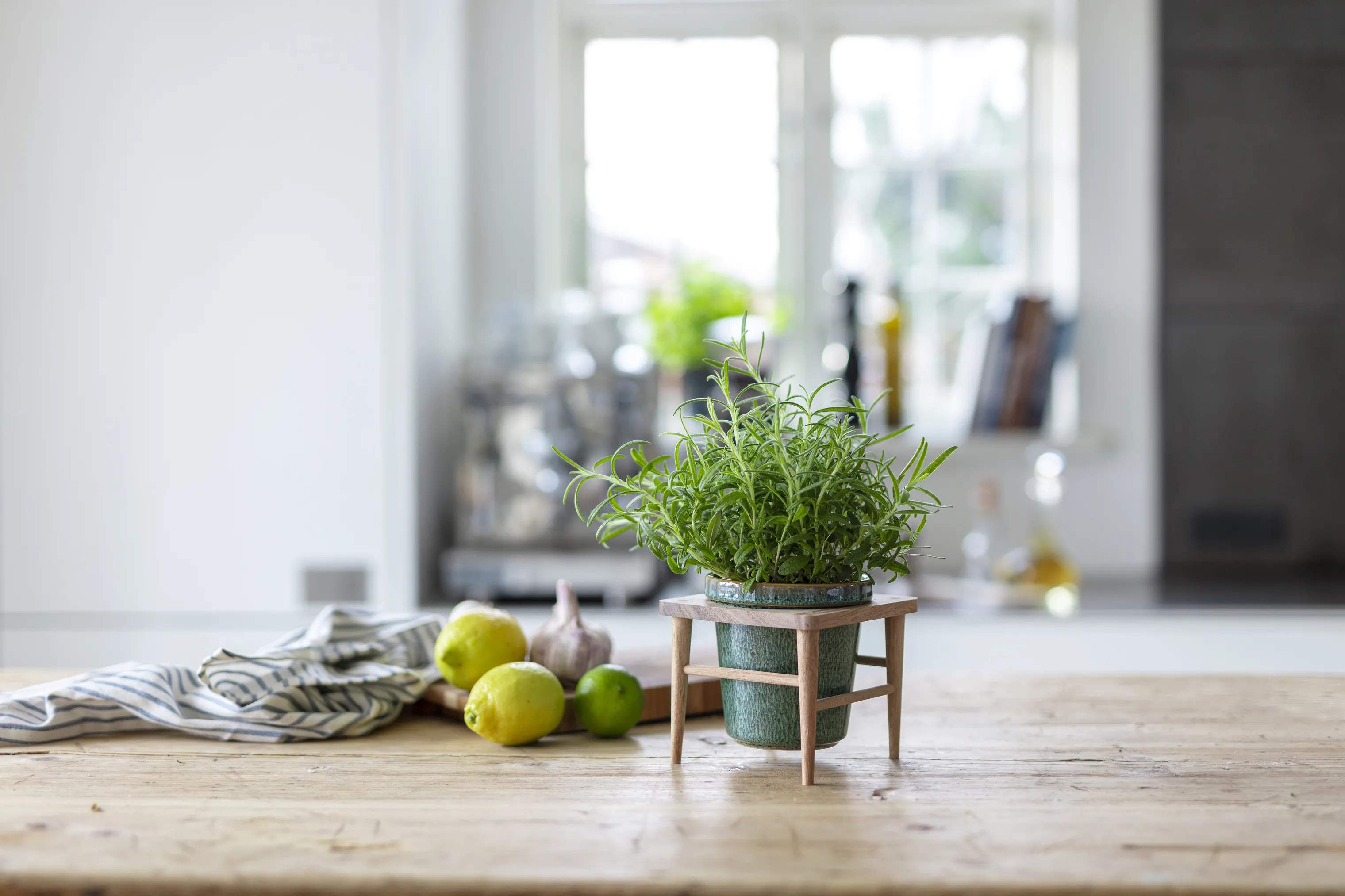 CASA Living Urtepotteskjulere Sofia Urtepotte i Grøn, 11 cm, 2
