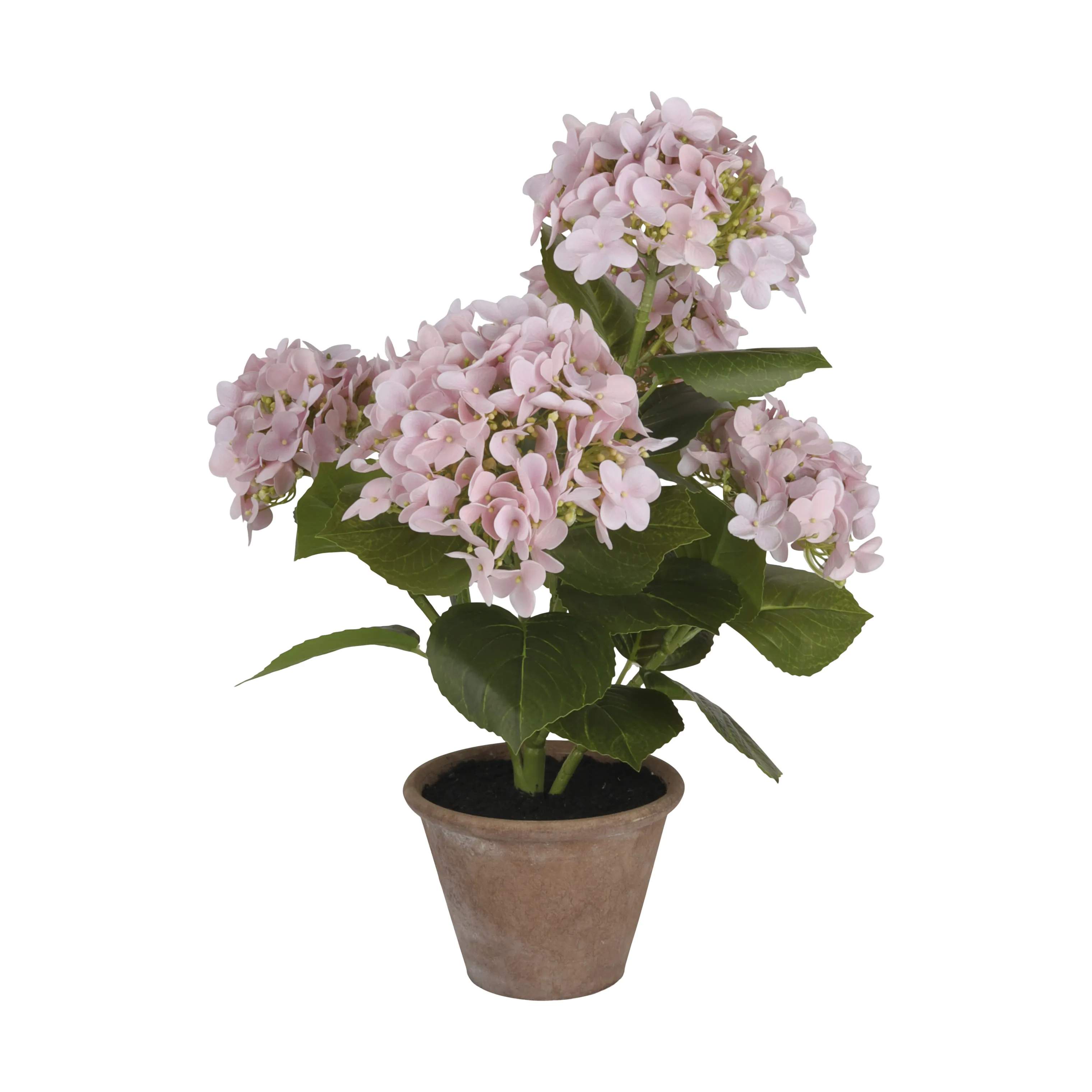 CASA Living Kunstige planter Kunstig Hortensia i Rosa, 55 cm, 1