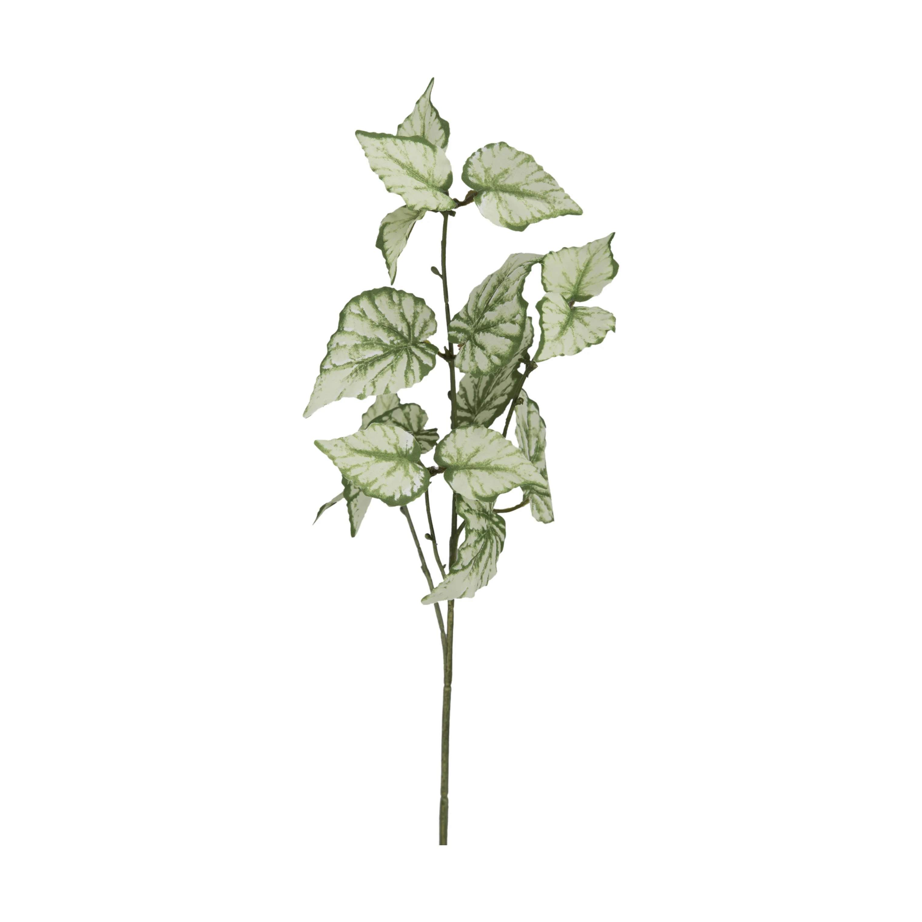 Kunstig blomst - Rexbegonia kvist, grøn, large