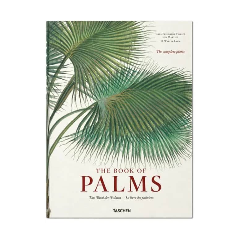 The Book of Palms - Af H. Walter Lack, grøn, large