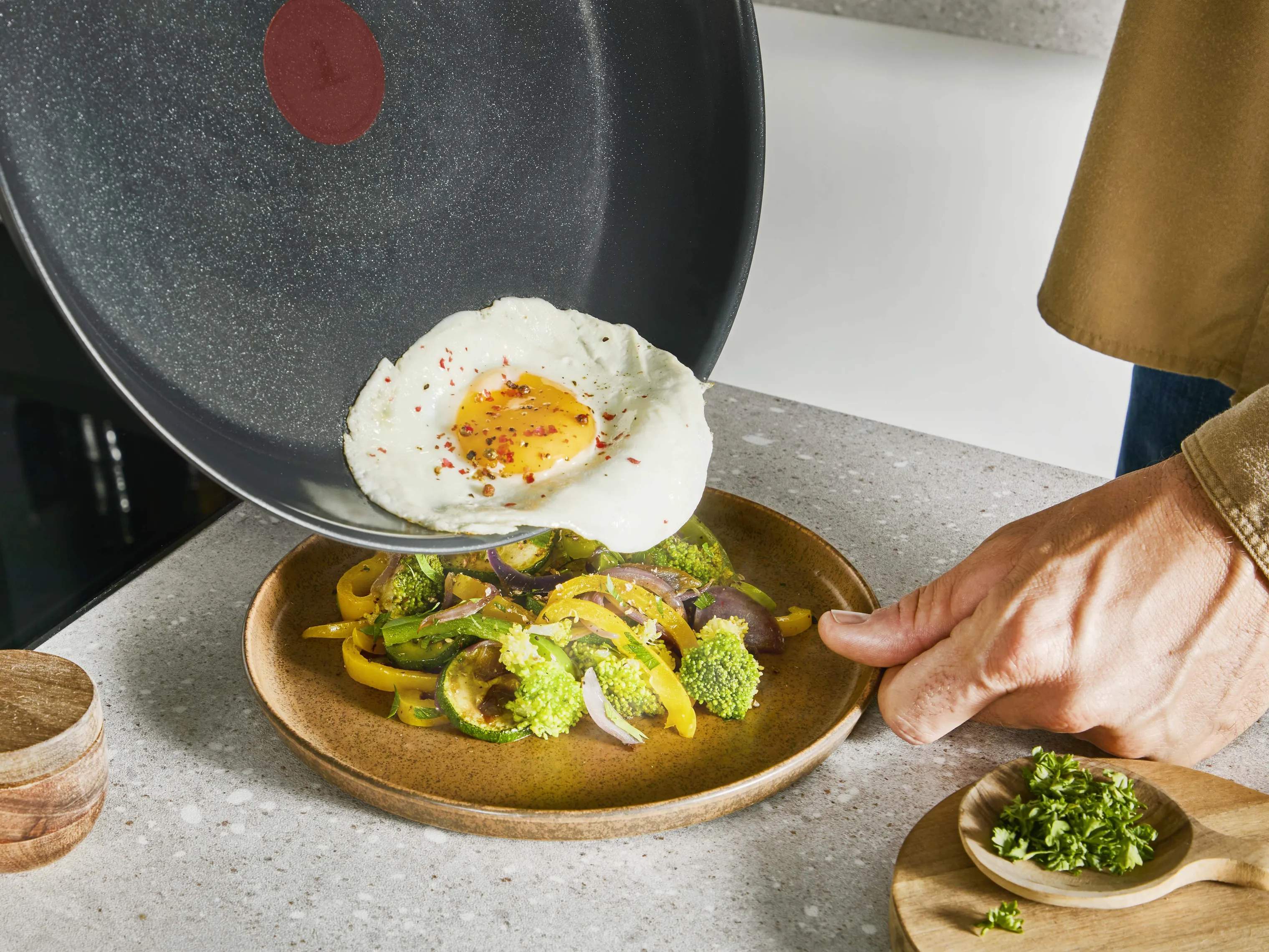 Tefal Stegepander Emotion Plus Flavors Stegepande i 28 cm, 3