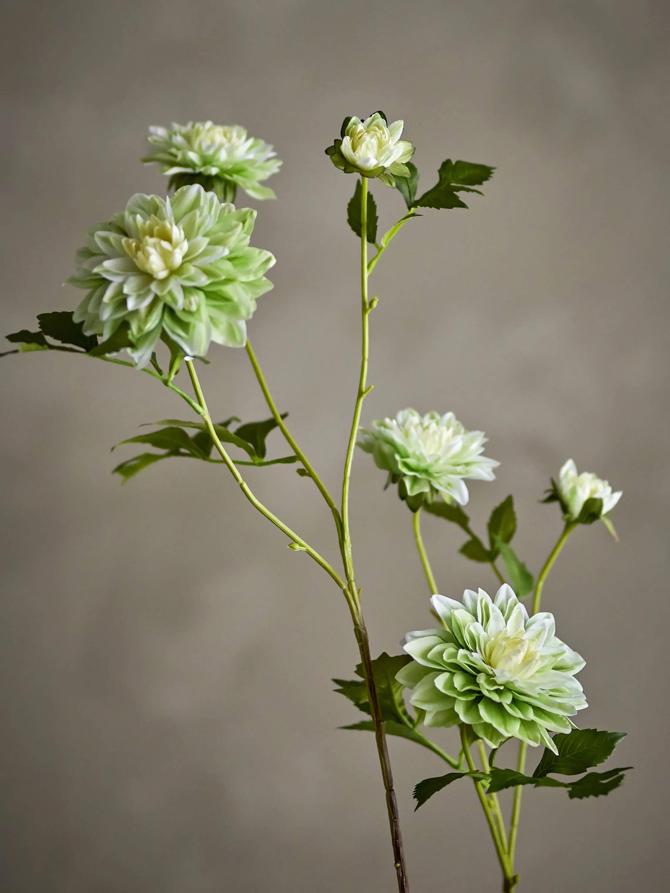 Bloomingville Kunstige blomster Kunstig blomst - Chrysantemum stilk i Hvid/grøn, 2
