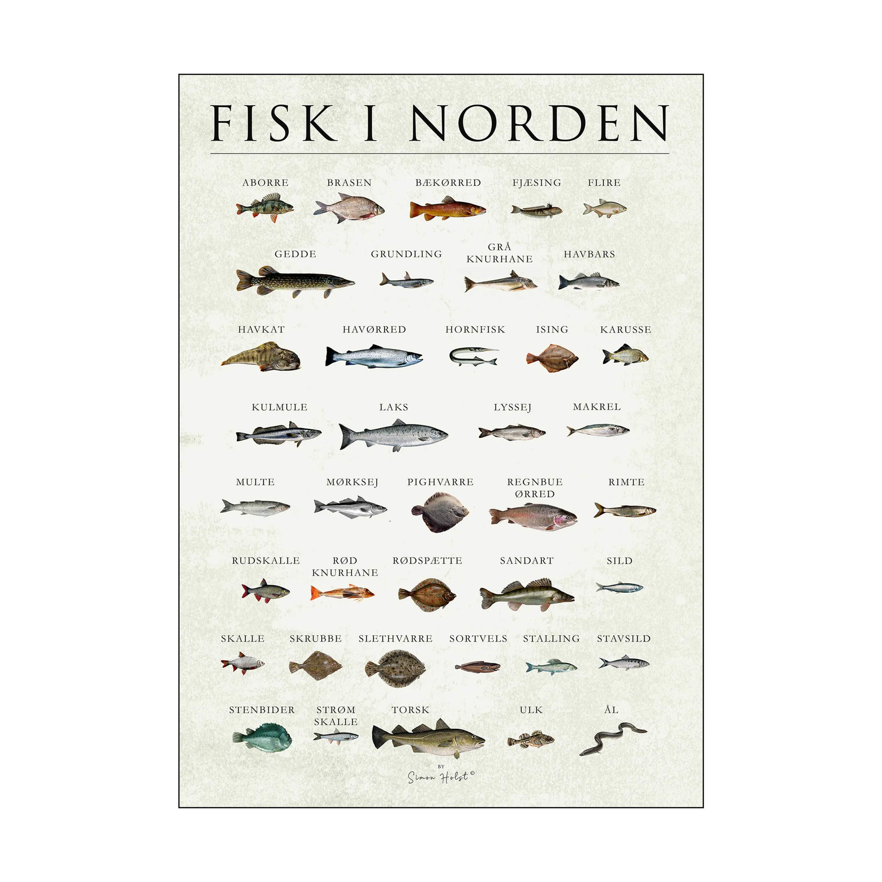 Plakat - Fisk i Norden, multifarvet2, large