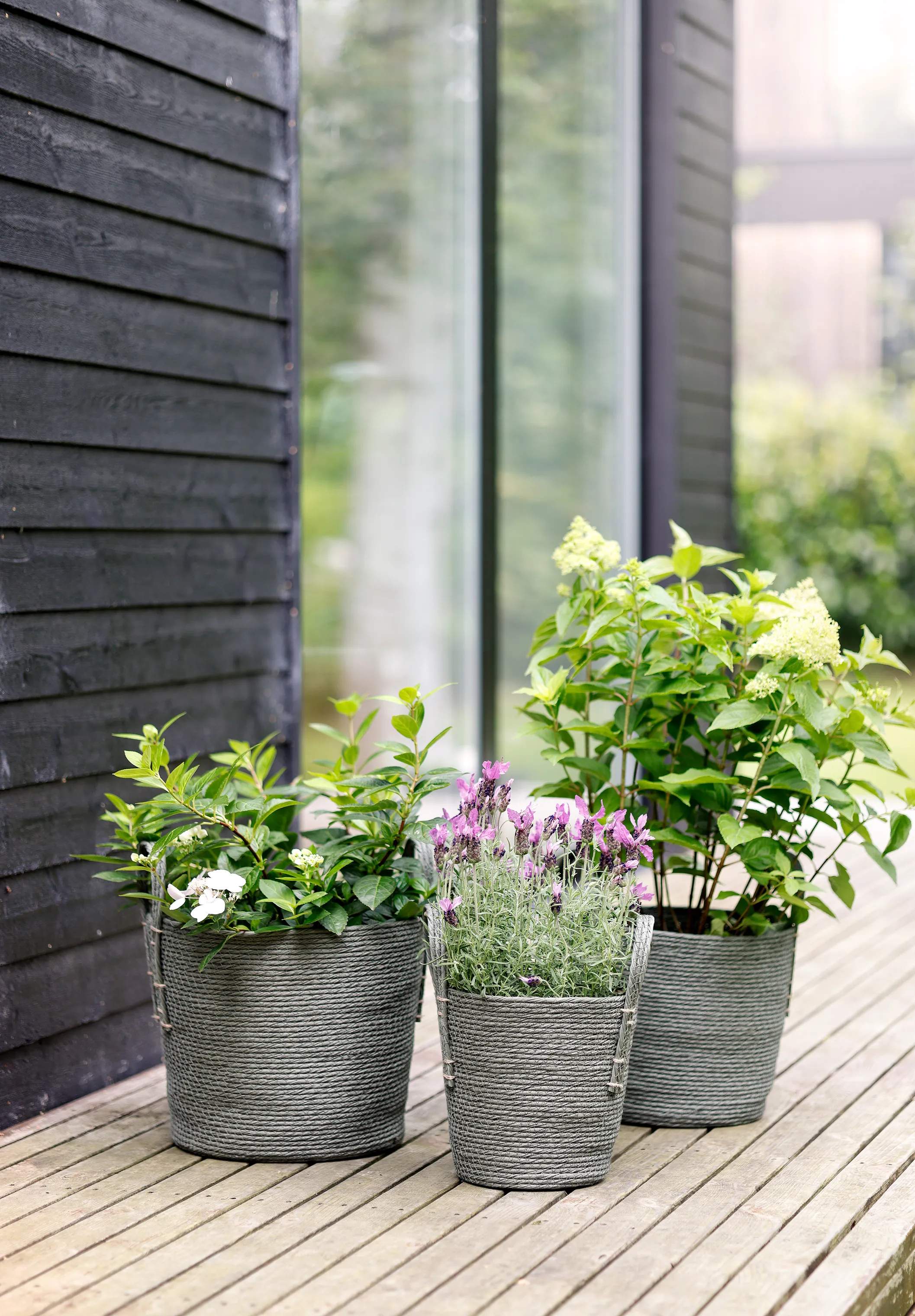 CASA Living Kurve Kurv i Grøn, 28 cm, 2