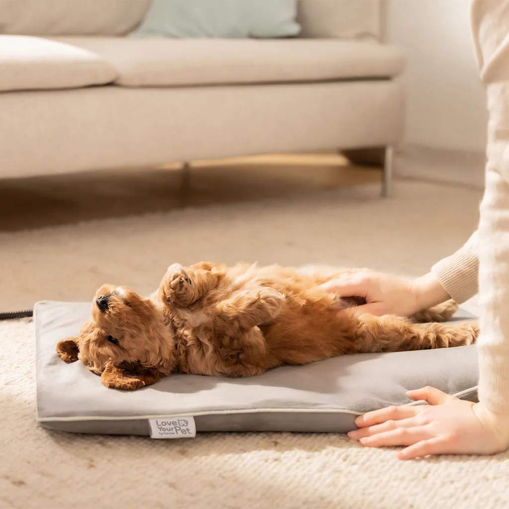 Beurer Varmetæpper PetCare PP210 Lili Varmemåtte til Kæledyr i Grå, 5
