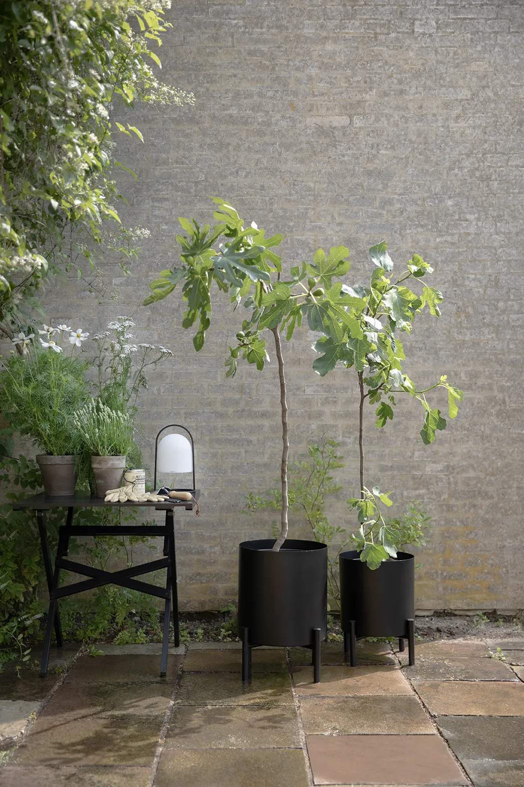 Eva Solo Urtepotteskjulere Simply Grow Potteskjuler i 51 cm, 3