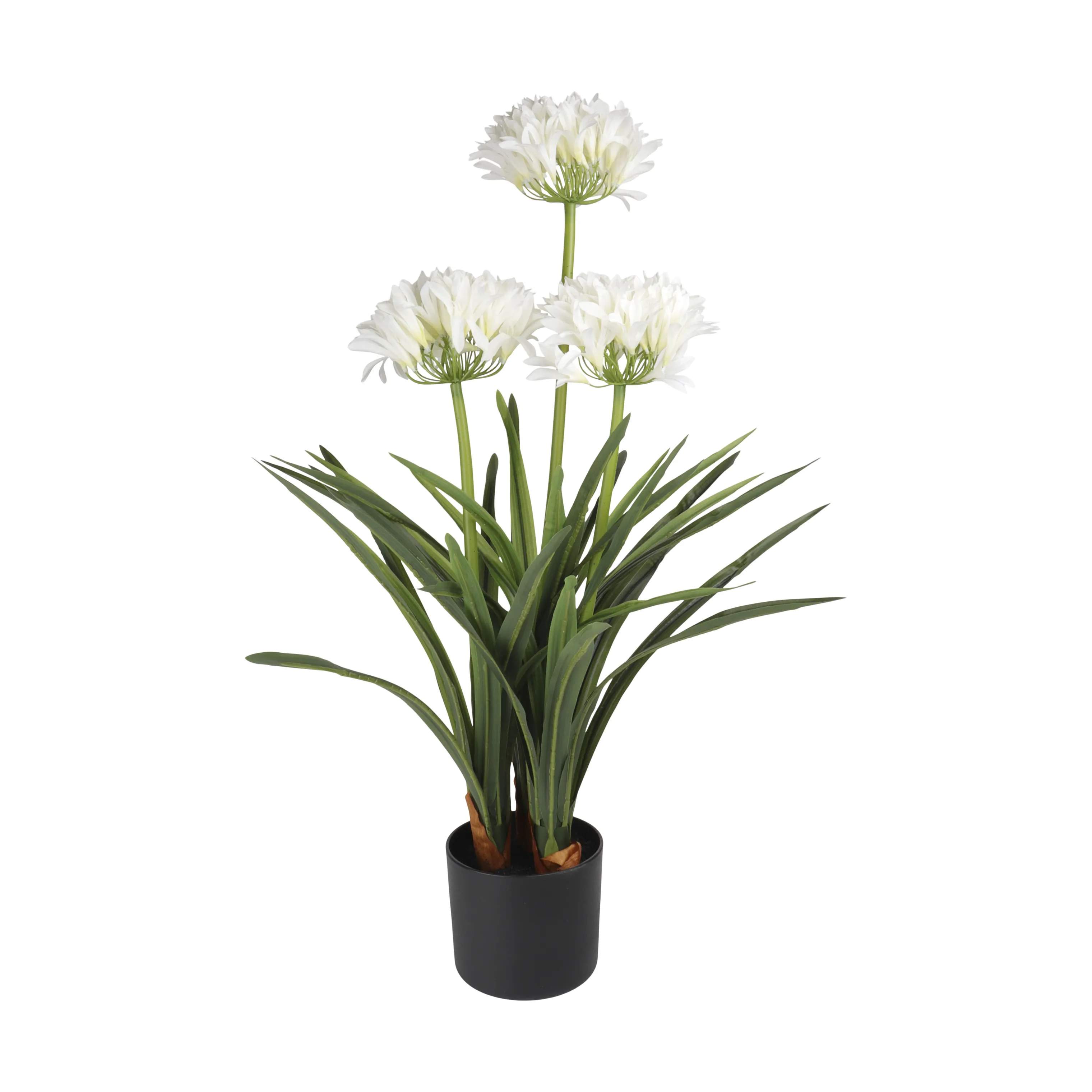 CASA Living Kunstige planter Kunstig Agapanthus i Hvid/grøn/natur, 1