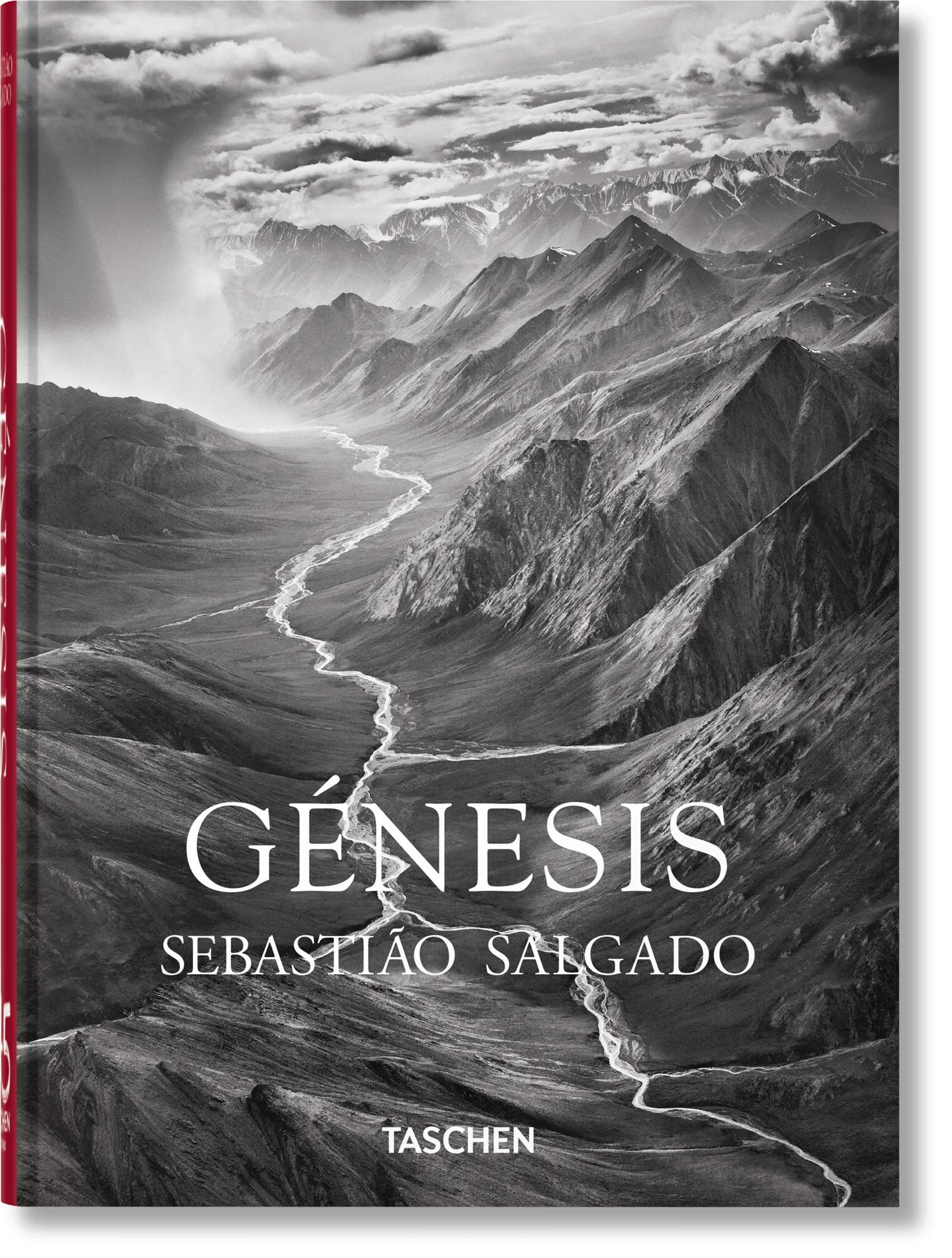 Taschen Bøger GENESIS i Grå, 1