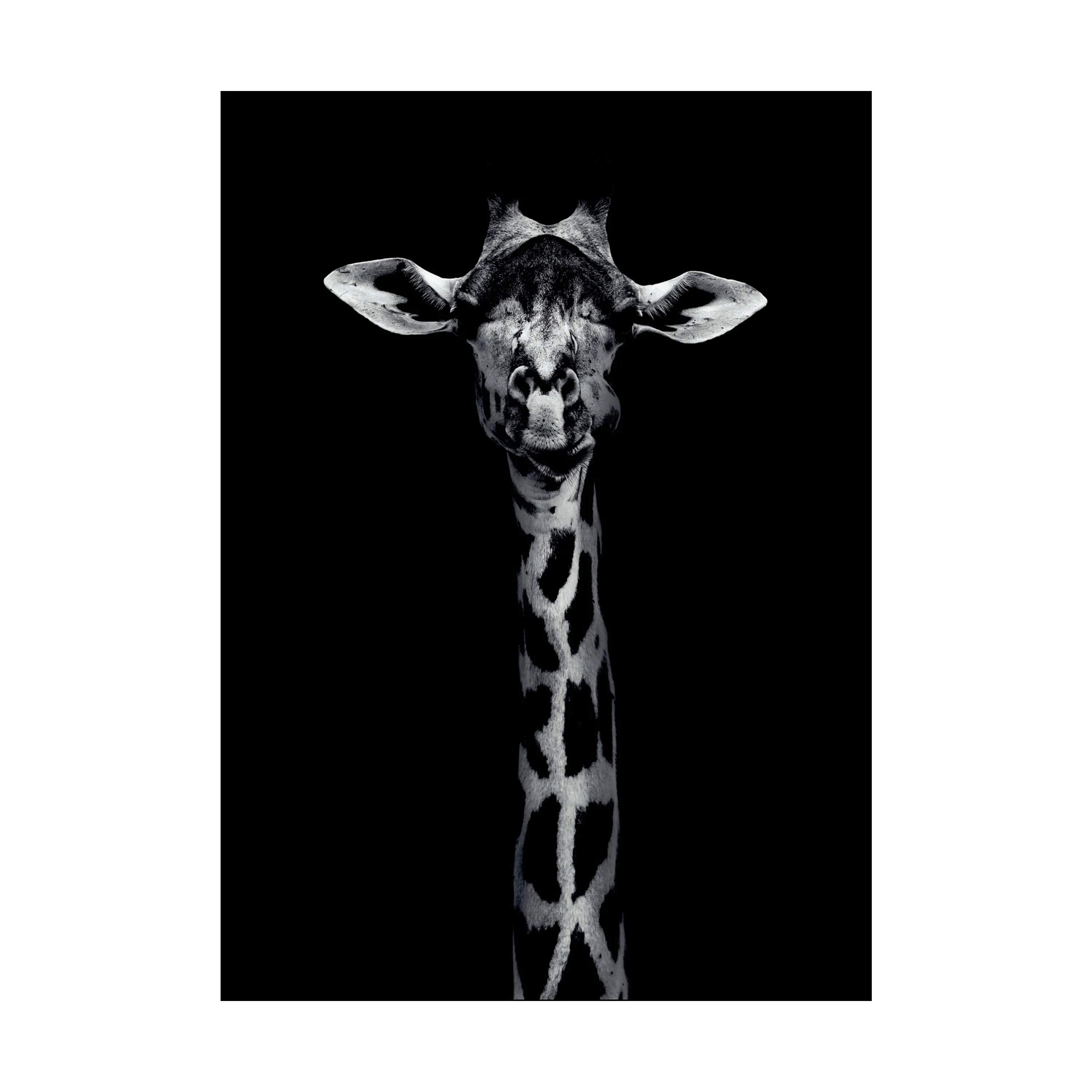 Plakat - Giraffe Portrait, sort, large