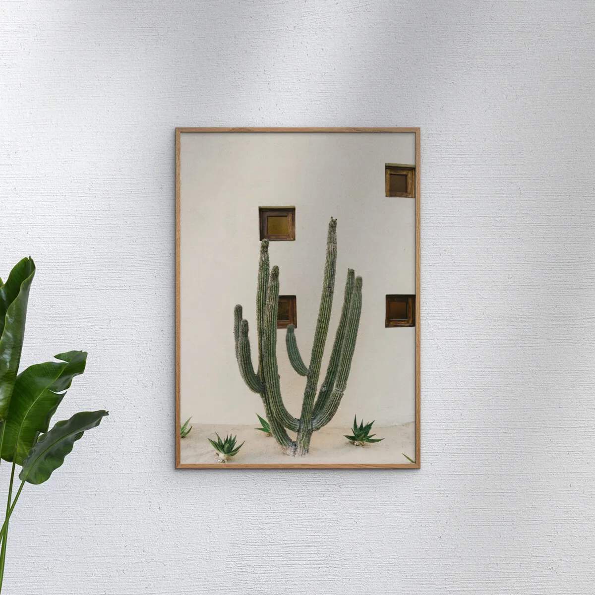 Poster&Frame Plakater Plakat - Cabo cactus i B50 x L70 cm, 2