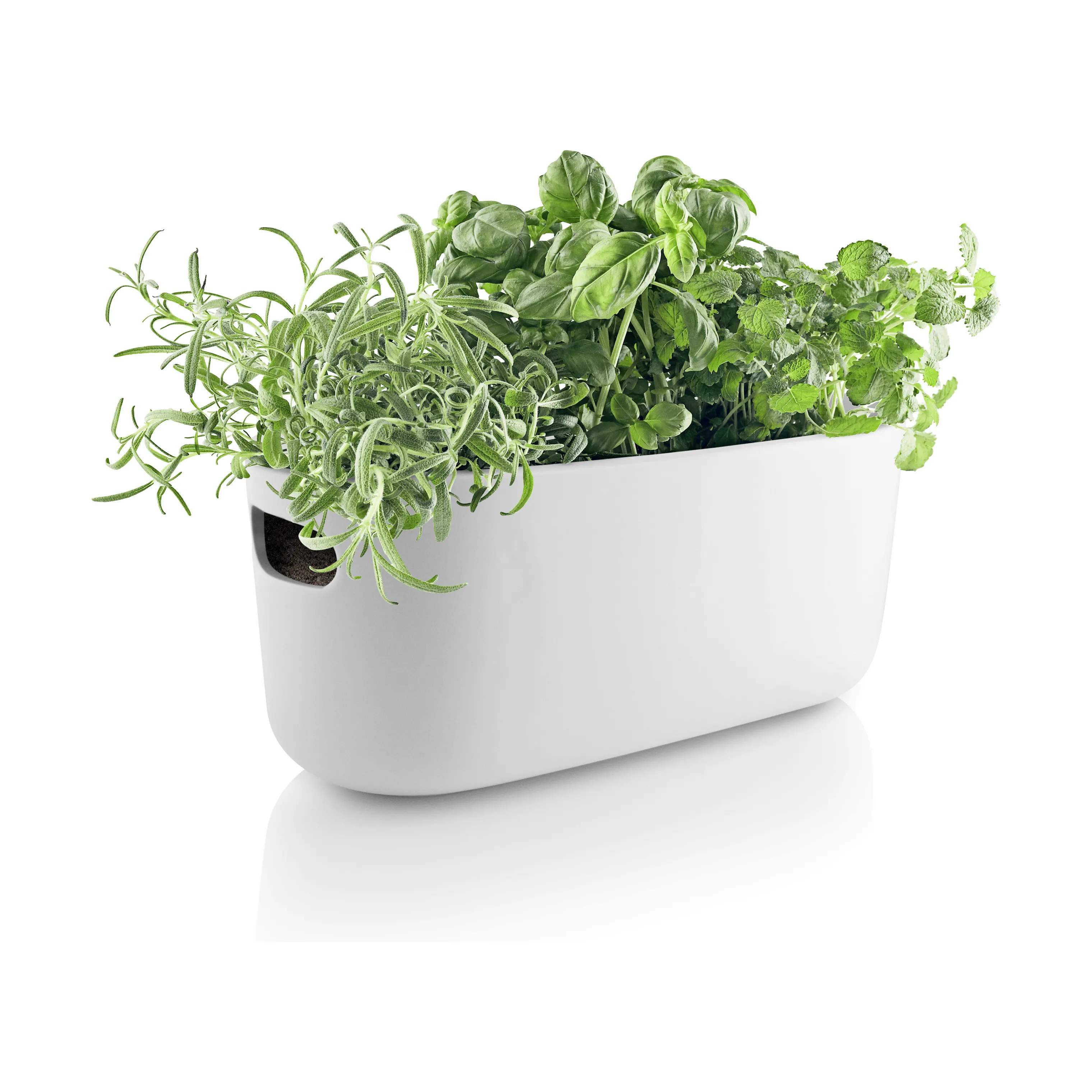 Eva Solo plantekrukker Selvvandende Herb Organiser