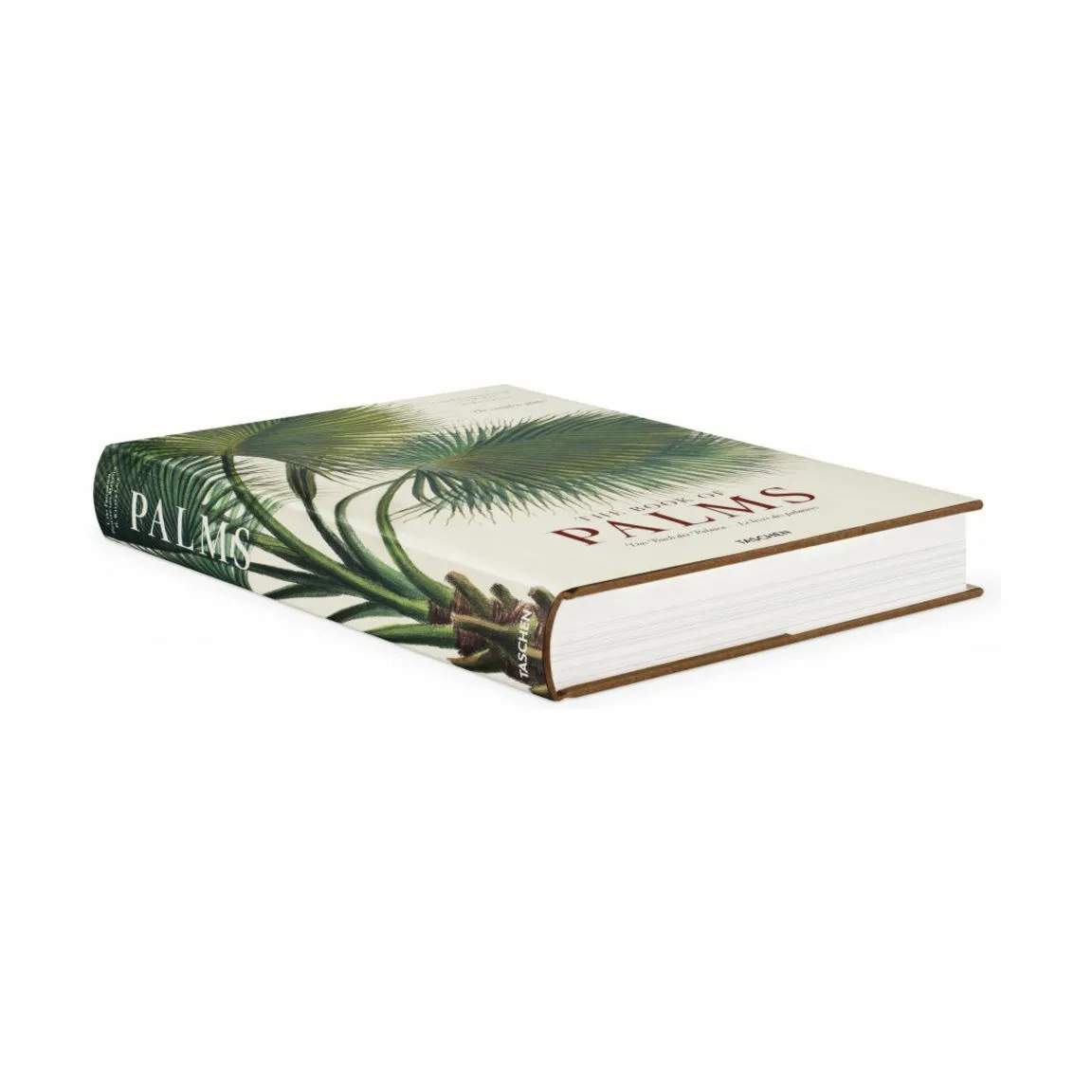 New Mags Øvrige bøger The Book of Palms - Af H. Walter Lack i Grøn, 2