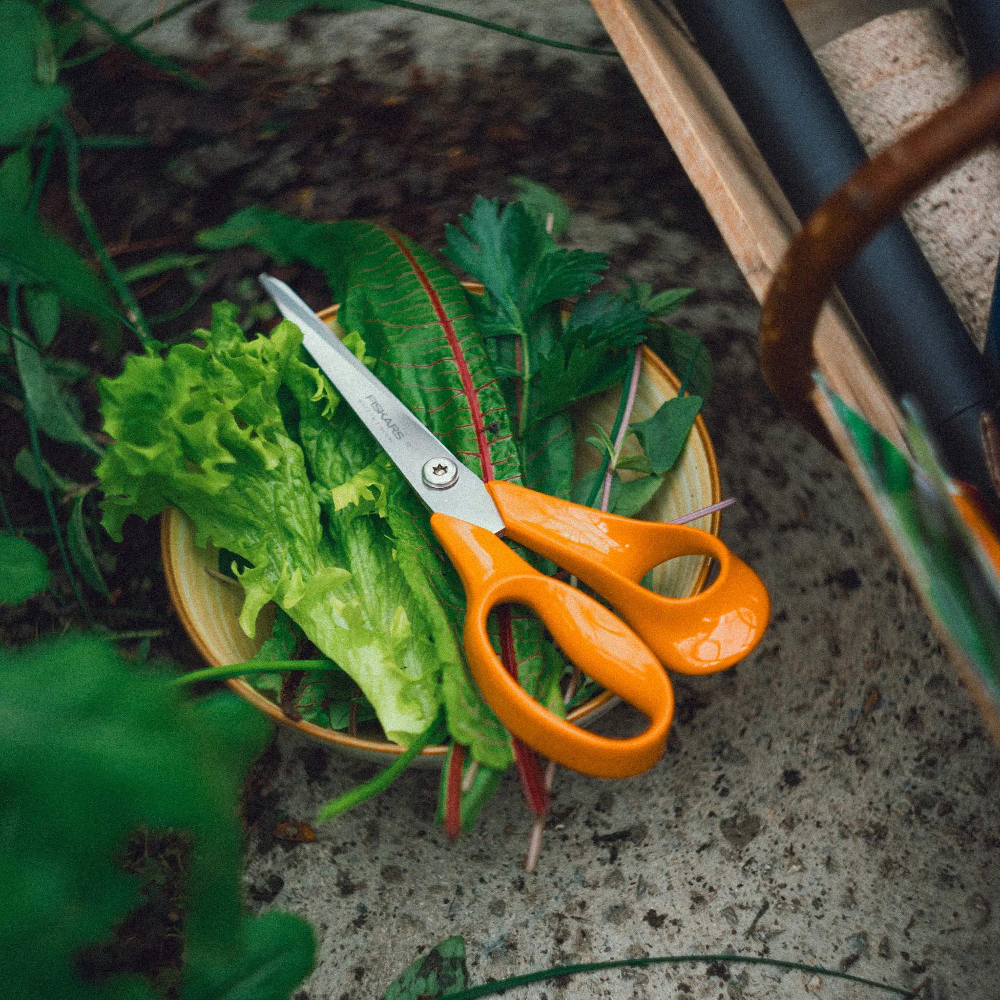 Fiskars Køkkensakse Classic Universalsaks - Højrehåndet i Orange, 2