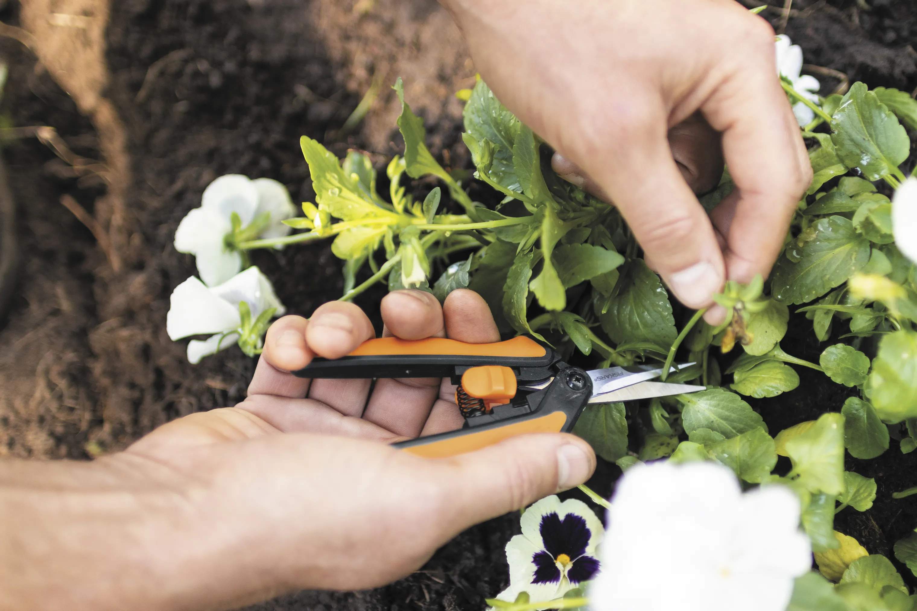 Fiskars Garden Haveredskaber Fiskars Solid™ Solid Beskæresaks i Sort/orange, 3