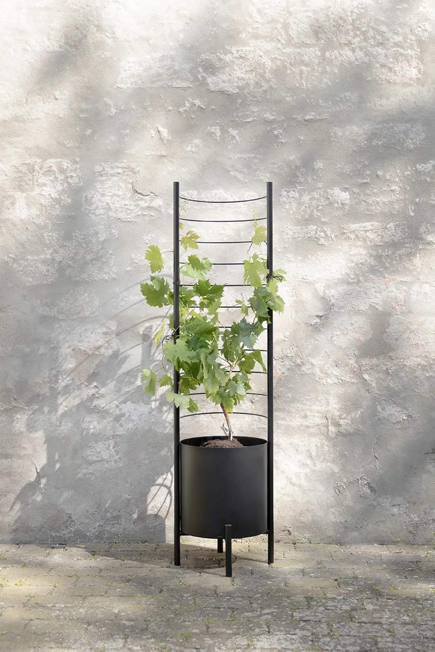 Eva Solo Øvrigt haveudstyr Simply Grow Espalier til potteskjuler i H145 x B42 cm, 6