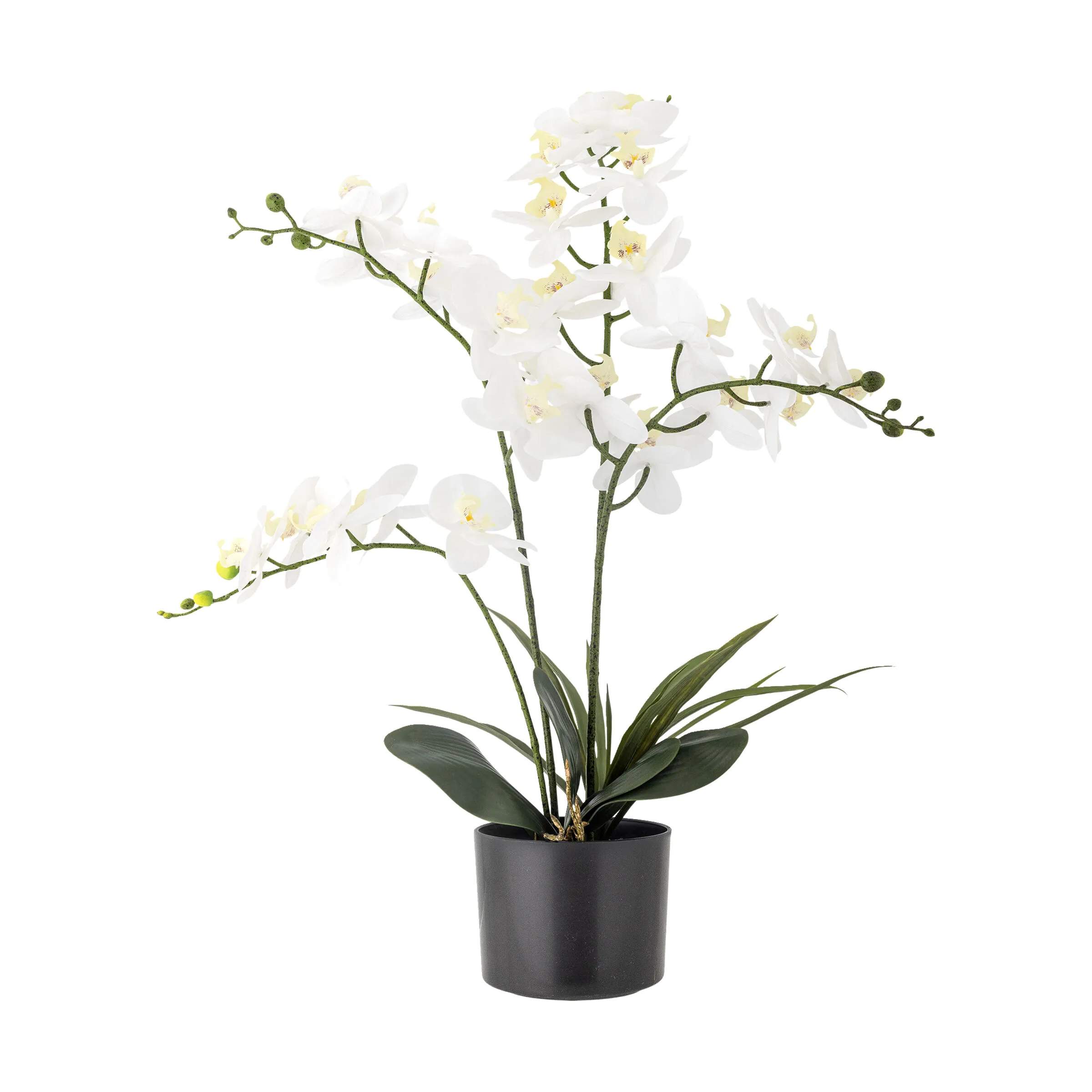 Kunstig Plante - Orchid, grøn, large