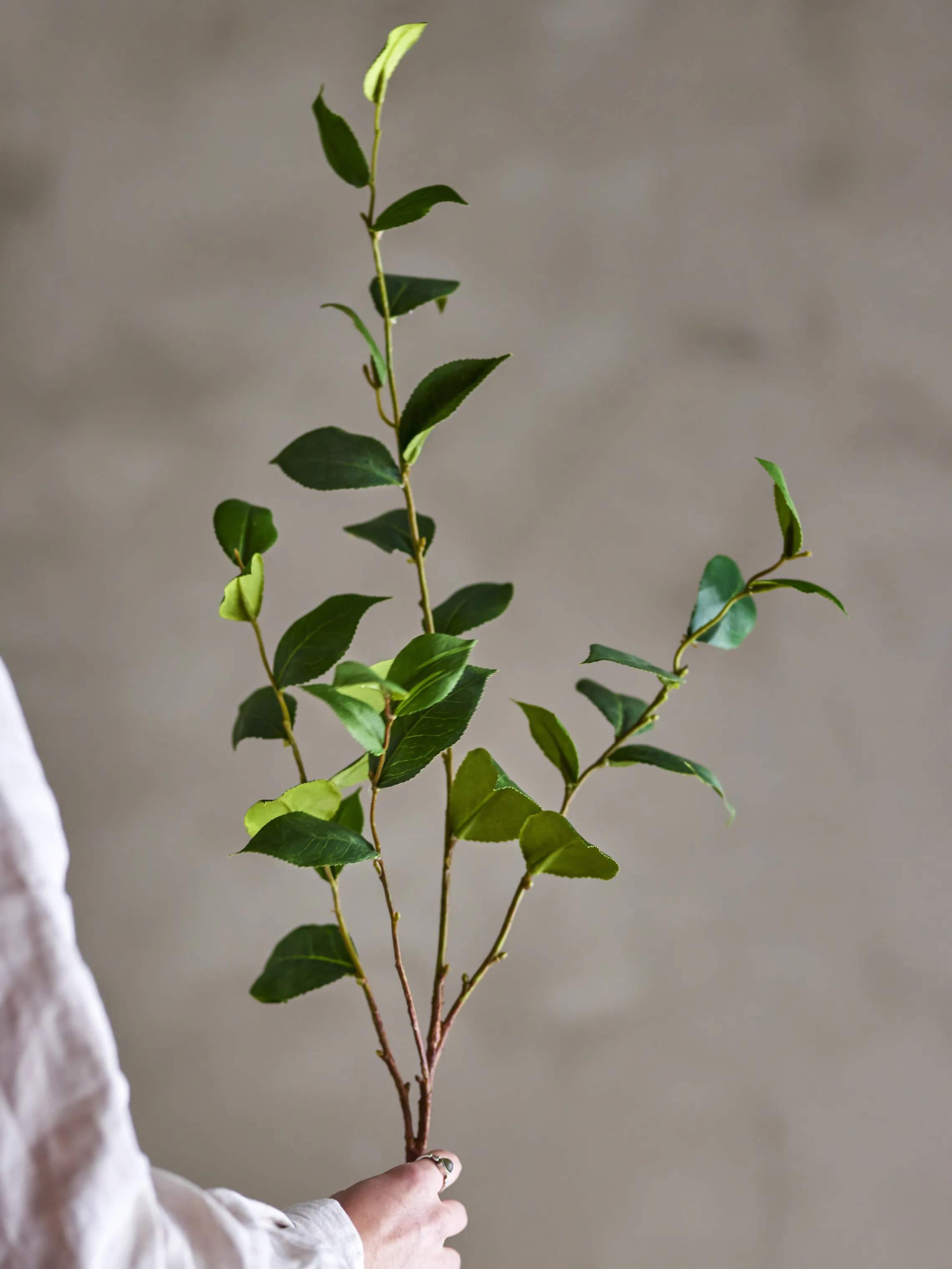 Bloomingville Kunstige blomster Kunstig blomst - Eucalyptus stilk i 110 cm, 2