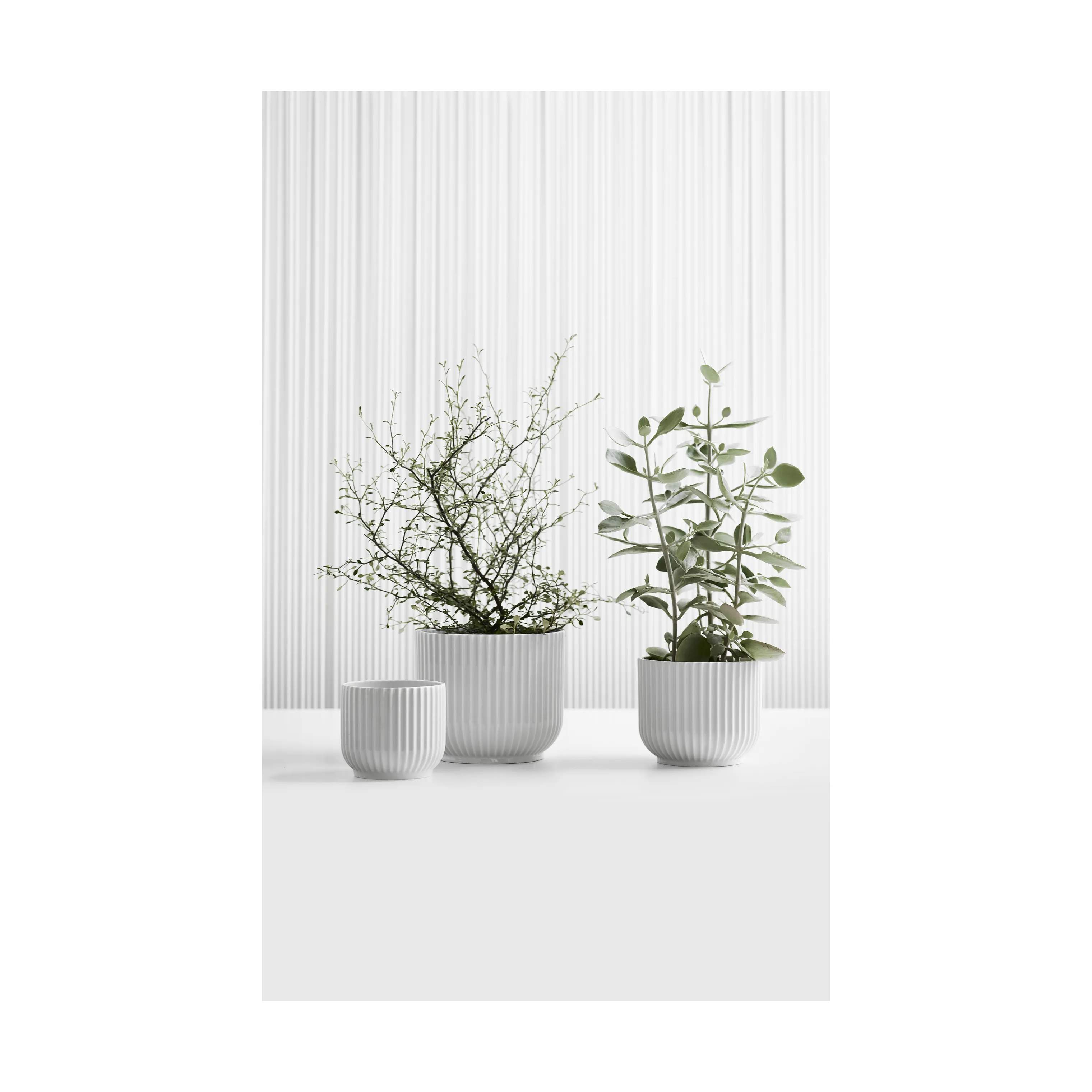 Lyngby Porcelæn Urtepotteskjulere Flowerpot Urtepotteskjuler i Hvid, 16 cm, 4