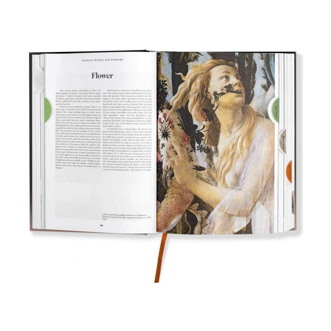 Taschen Coffee table books The Book of Symbols. Reflections on Archetypal Images - Af Carl Gustav Jung i Sort, 4