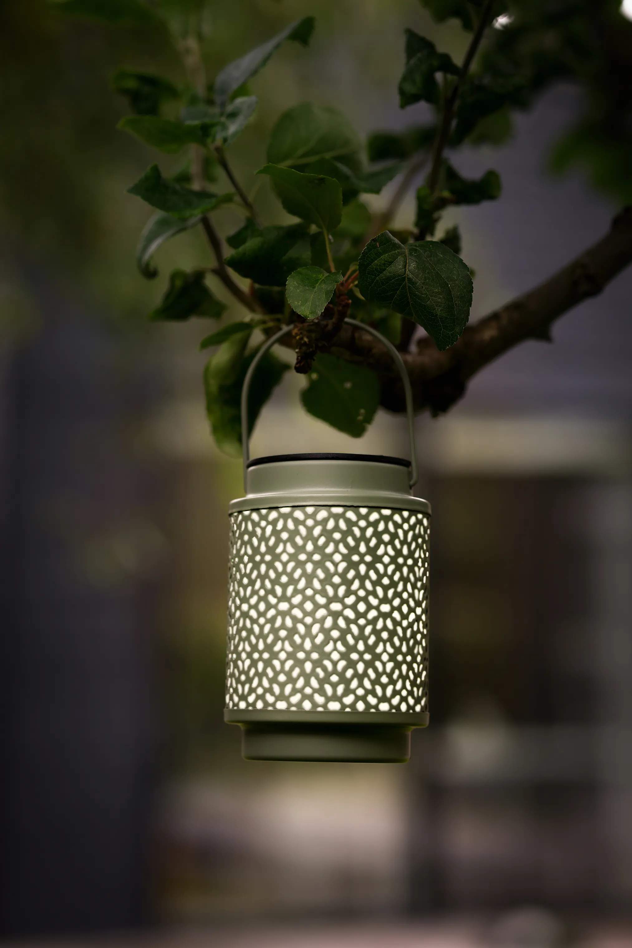 CASA Living Lanterner LED Solar Lanterne i Grøn, 2