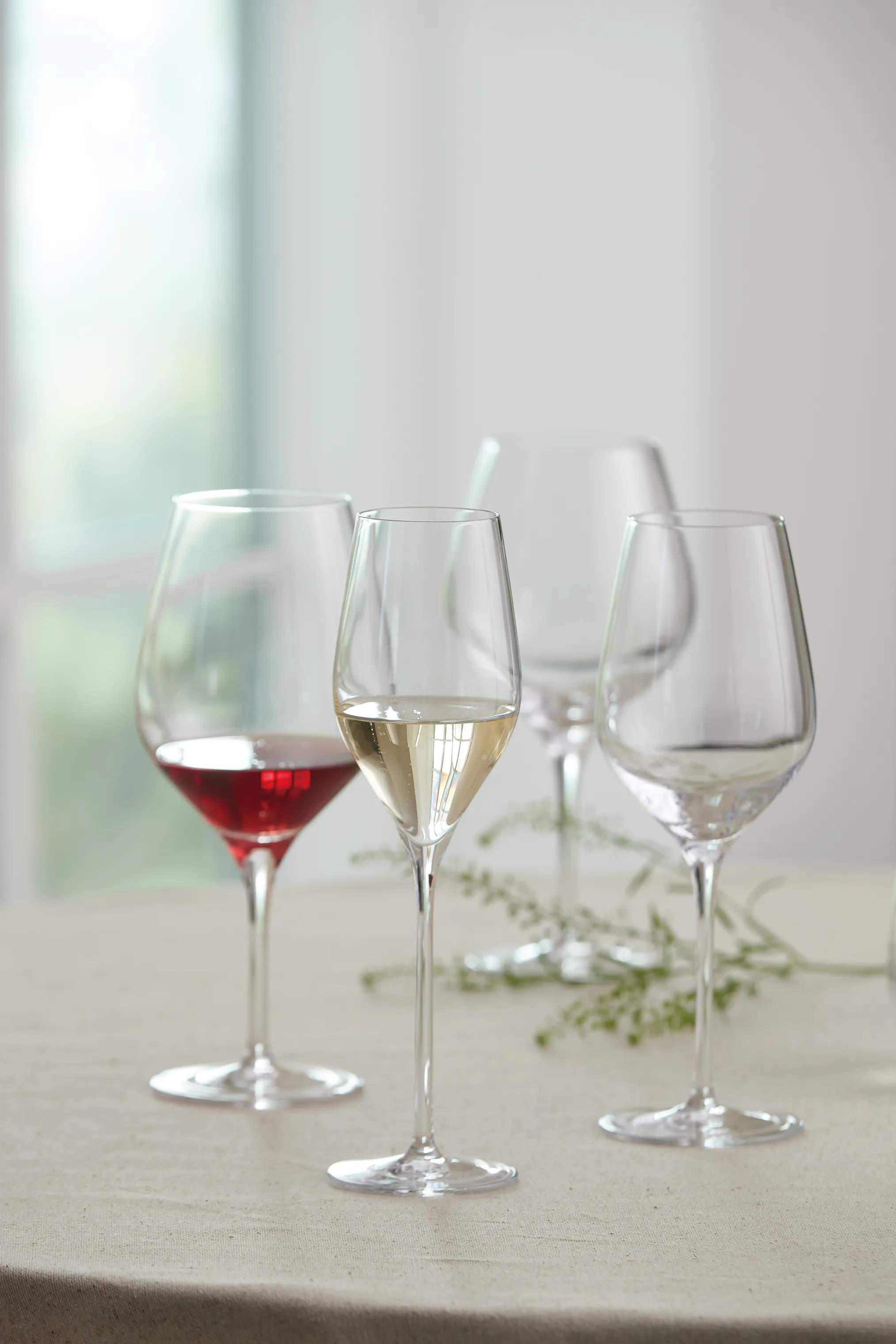 Aida Rødvinsglas Passion Connoisseur Rødvinsglas - 2 stk. i Klar, 2