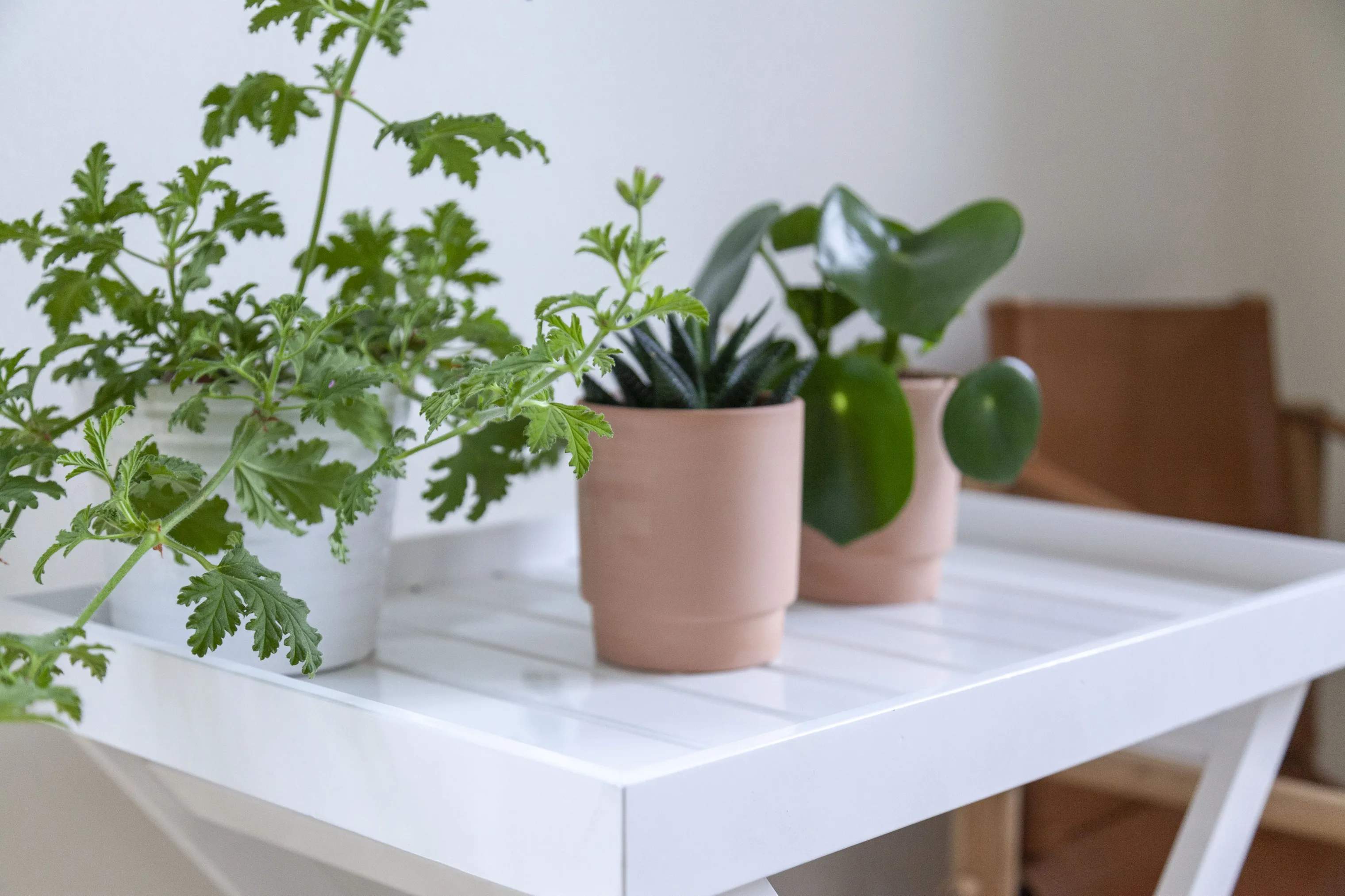 cinas Bakkeborde Indoor/Outdoor Bakkebord i Hvid, 5