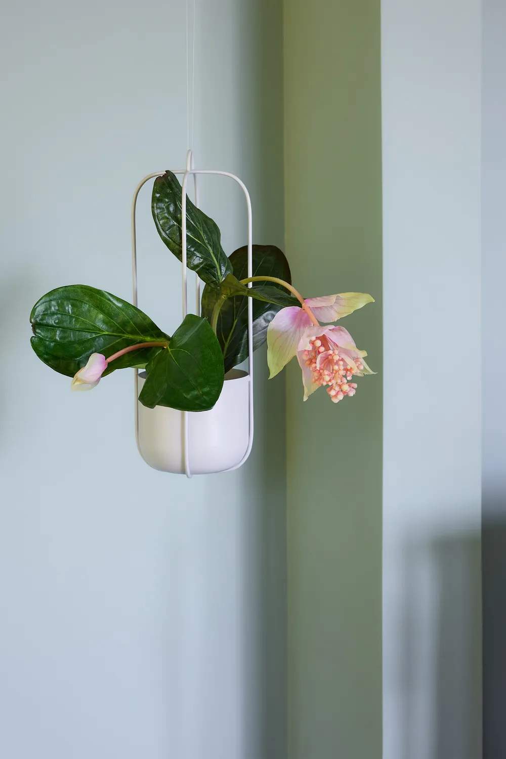 Hübsch Urtepotteskjulere Lotus Hængepotteskjuler i Lysegrå, 2