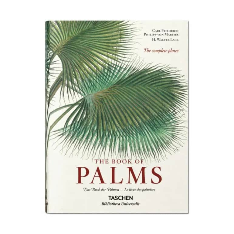 Martius. The Book of Palms, grøn, large